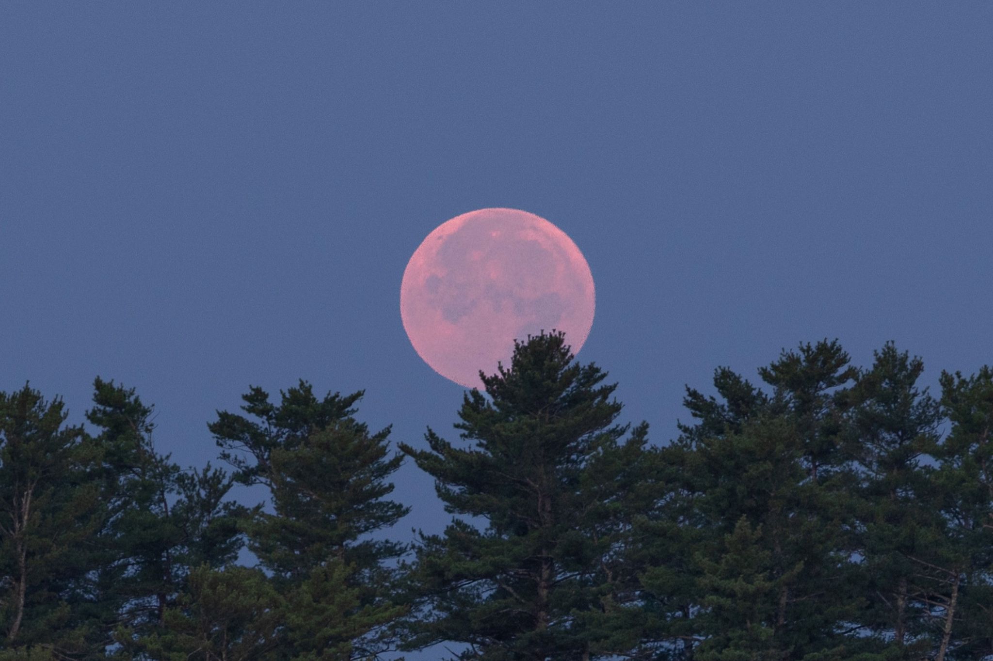 Community photo by Maria Cruz | South Chiina, Maine