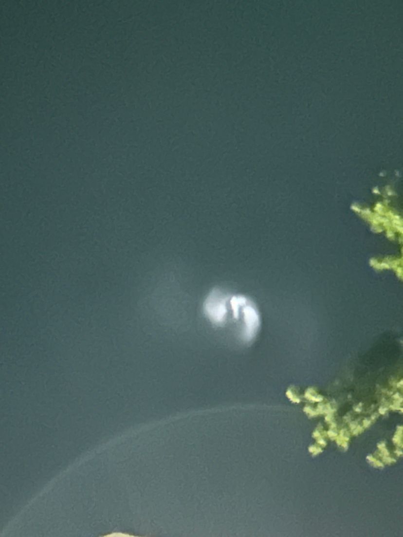 Community photo by Tyler