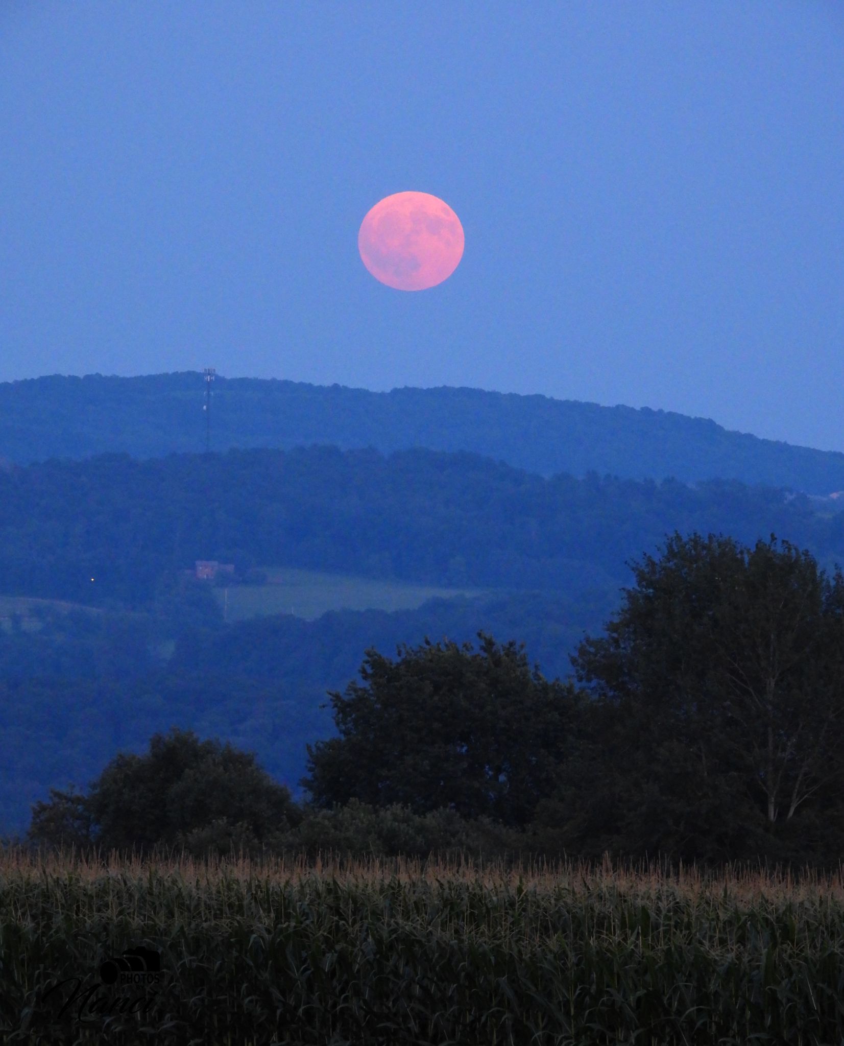 Community photo by Nanci