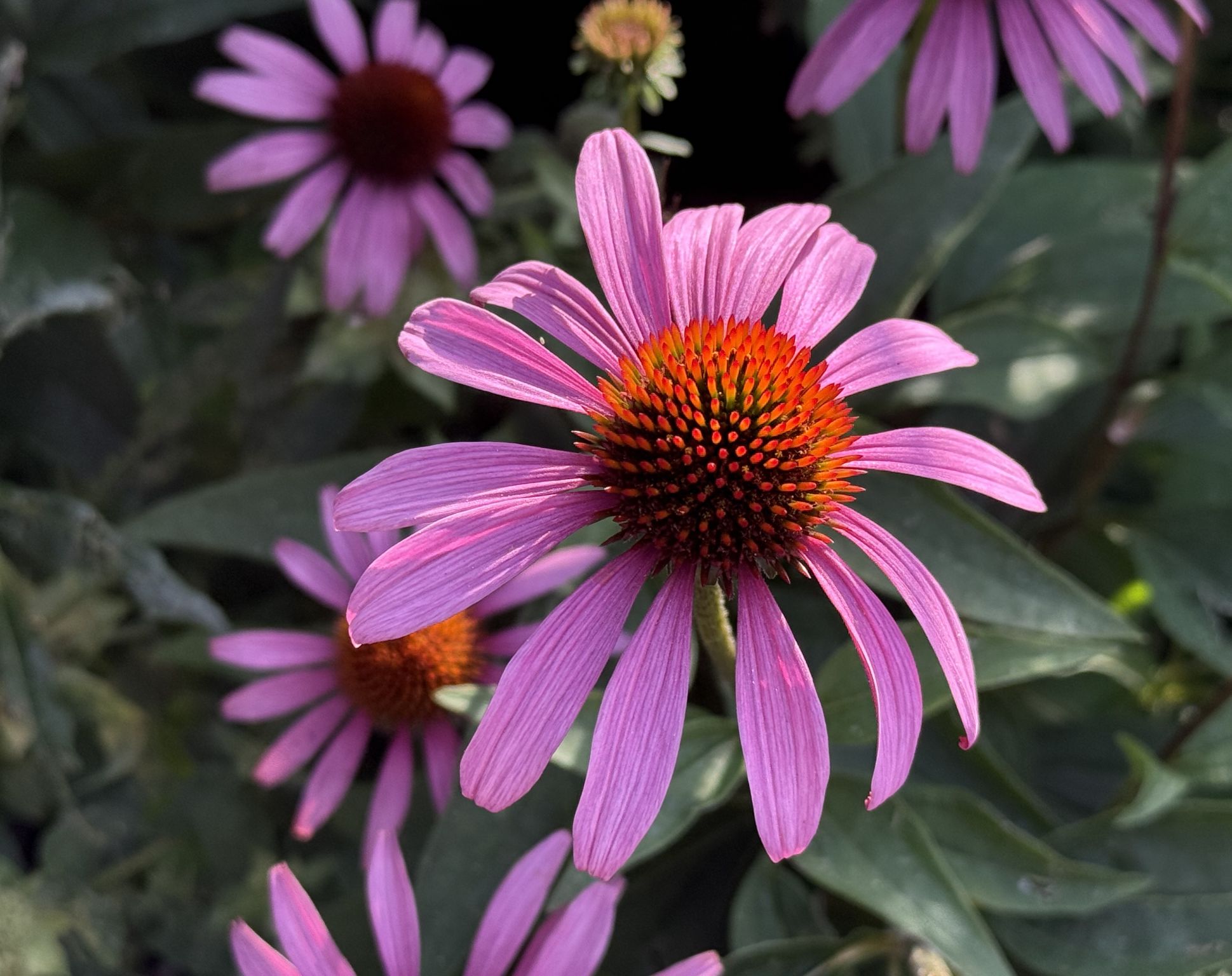 Community photo by Asha