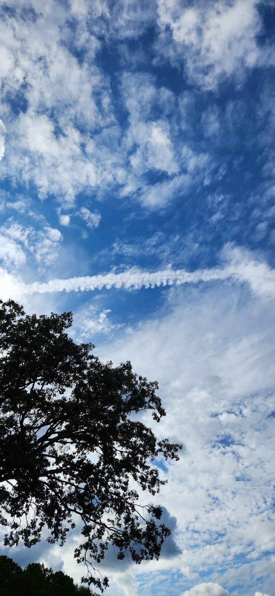 Community photo by Jacqueline Blaeske | Raleigh NC USA