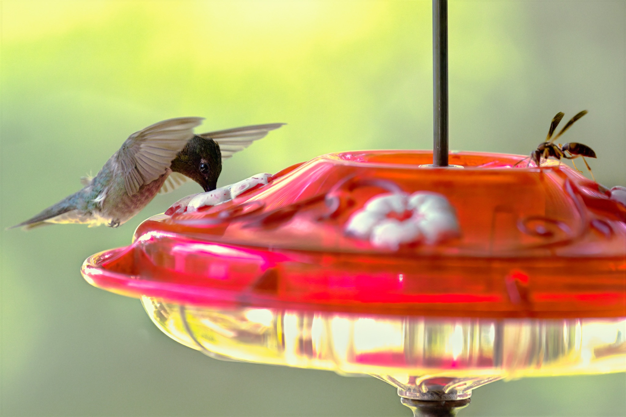 Community photo by Don