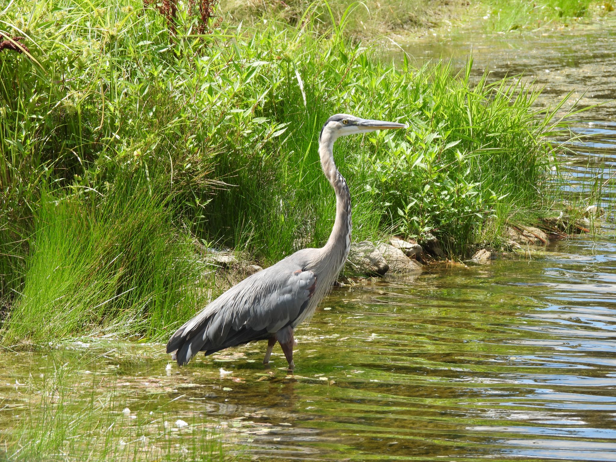 Community photo by Janet