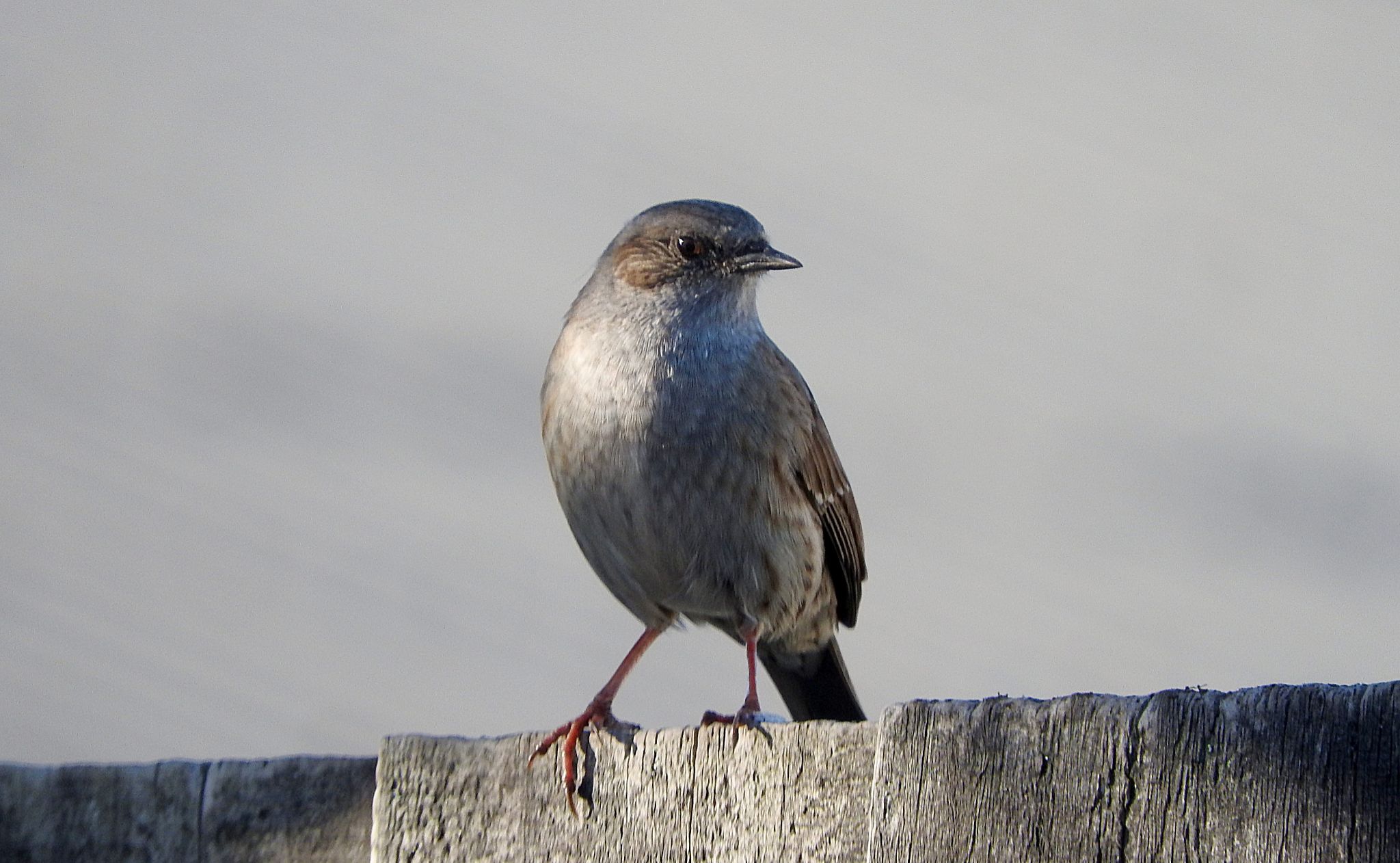 Community photo by Gerard Buzolic | Christchurch, New Zealand