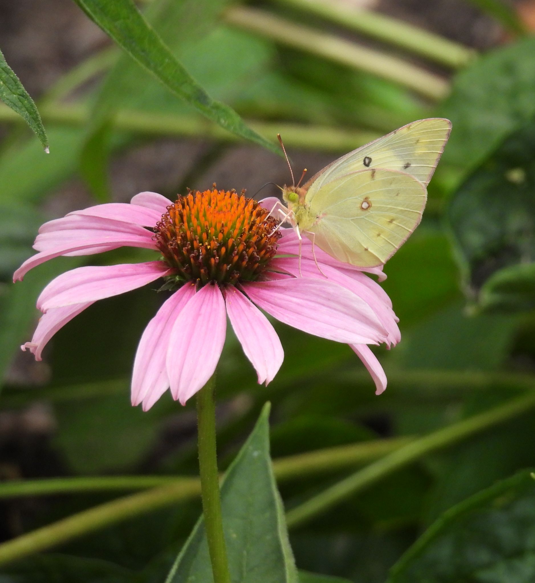 Community photo by Nina