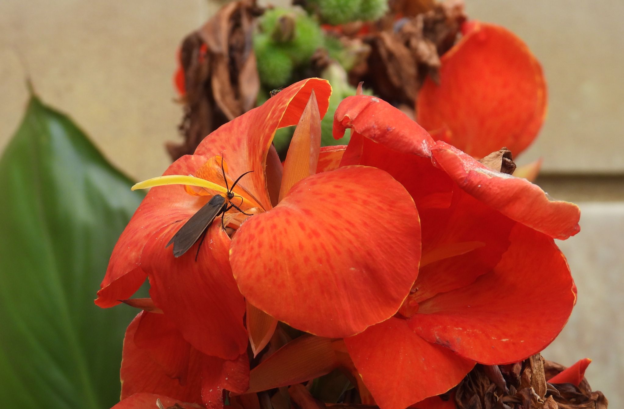 Community photo by Nina