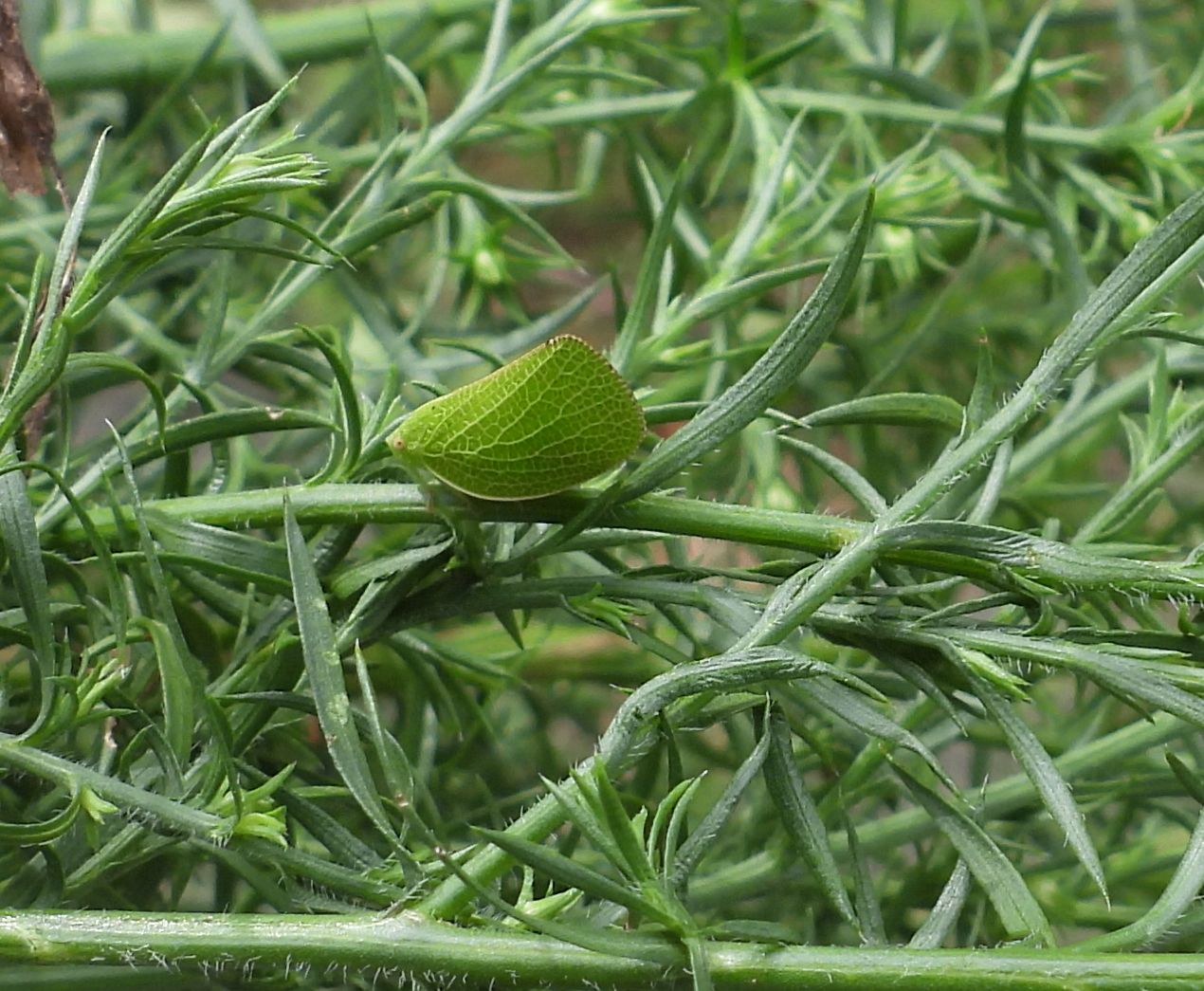 Community photo by Nina