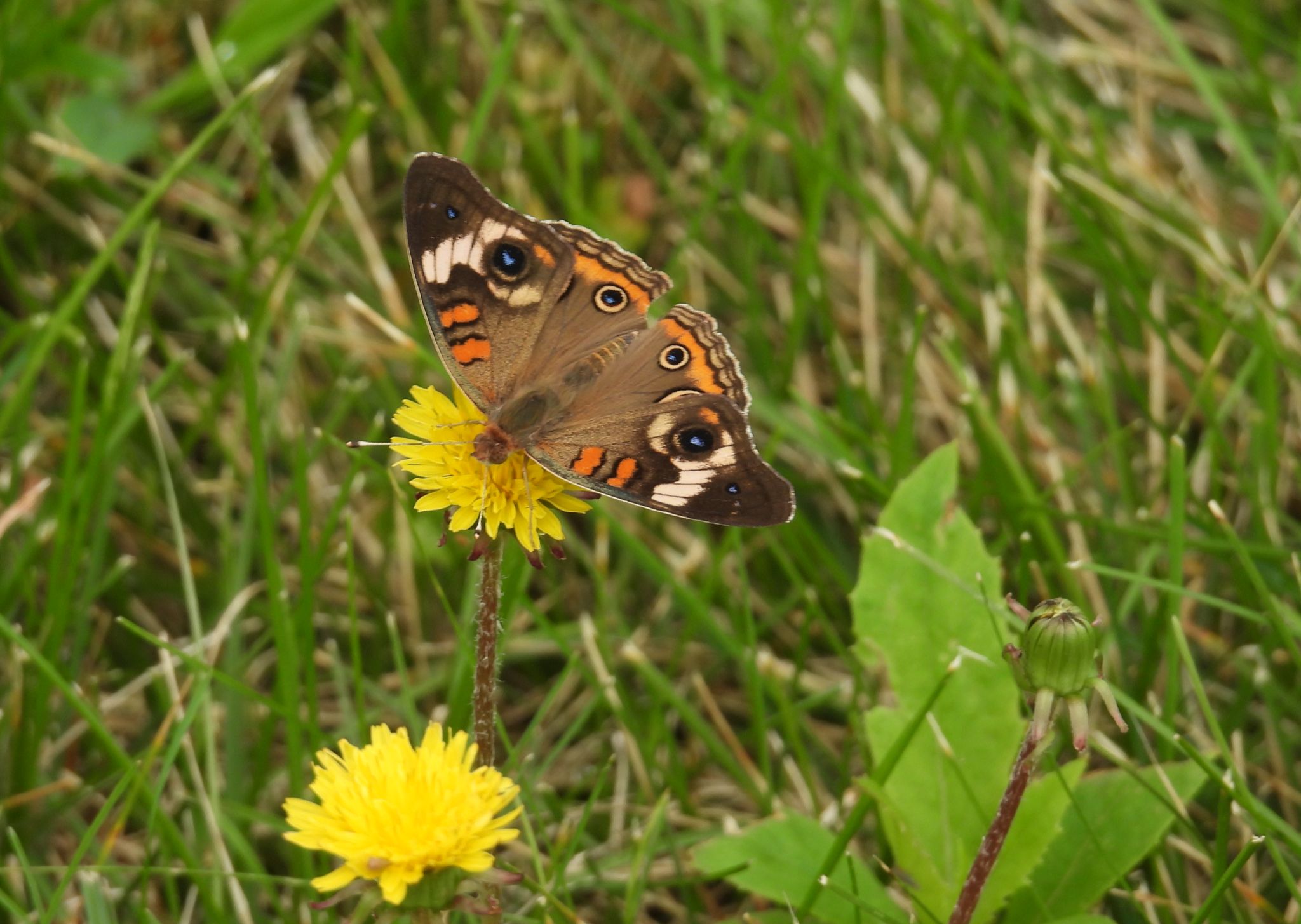 Community photo by Nina