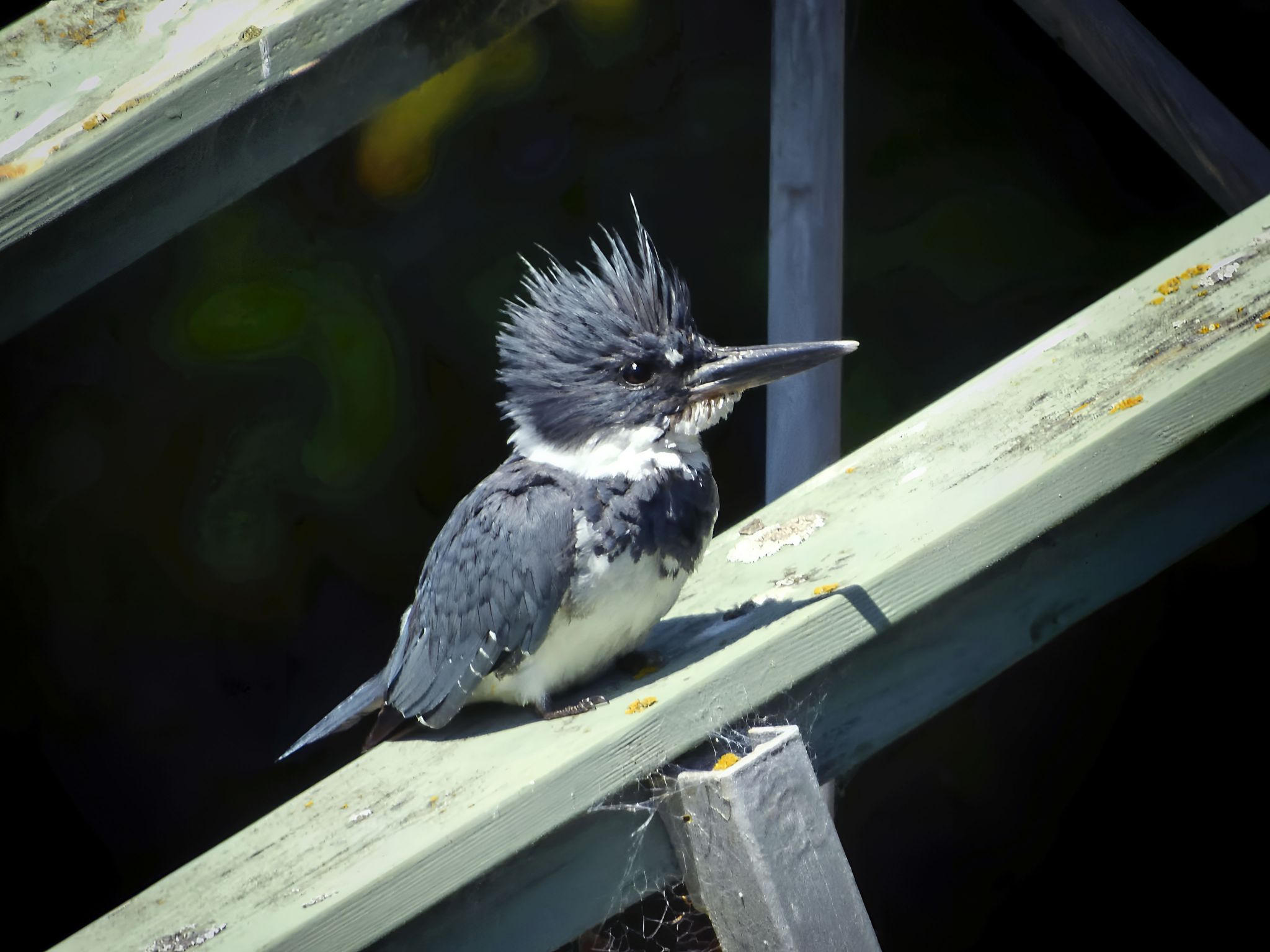 Community photo by Cecille