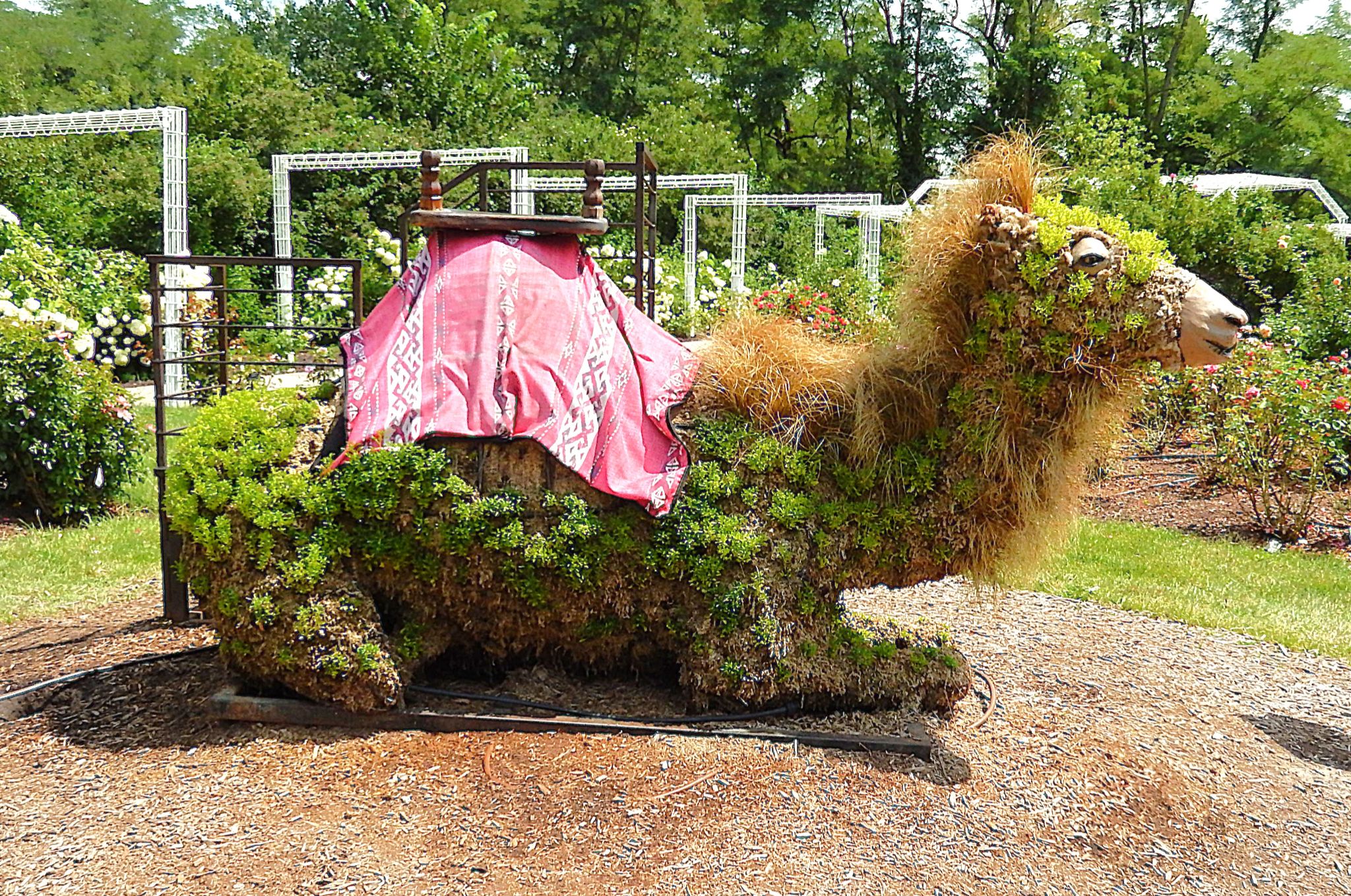 Community photo by Randy