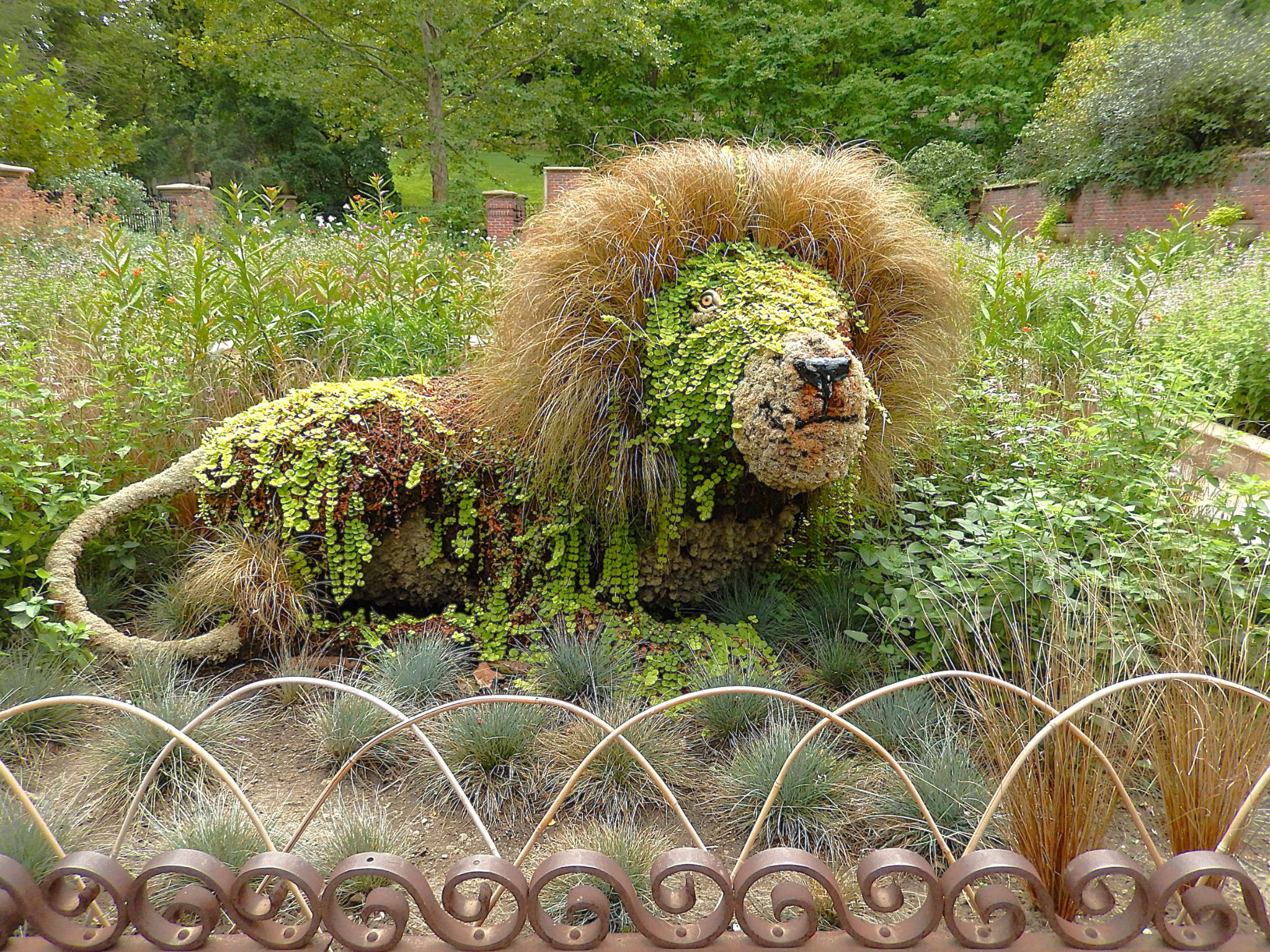 Community photo by Randy