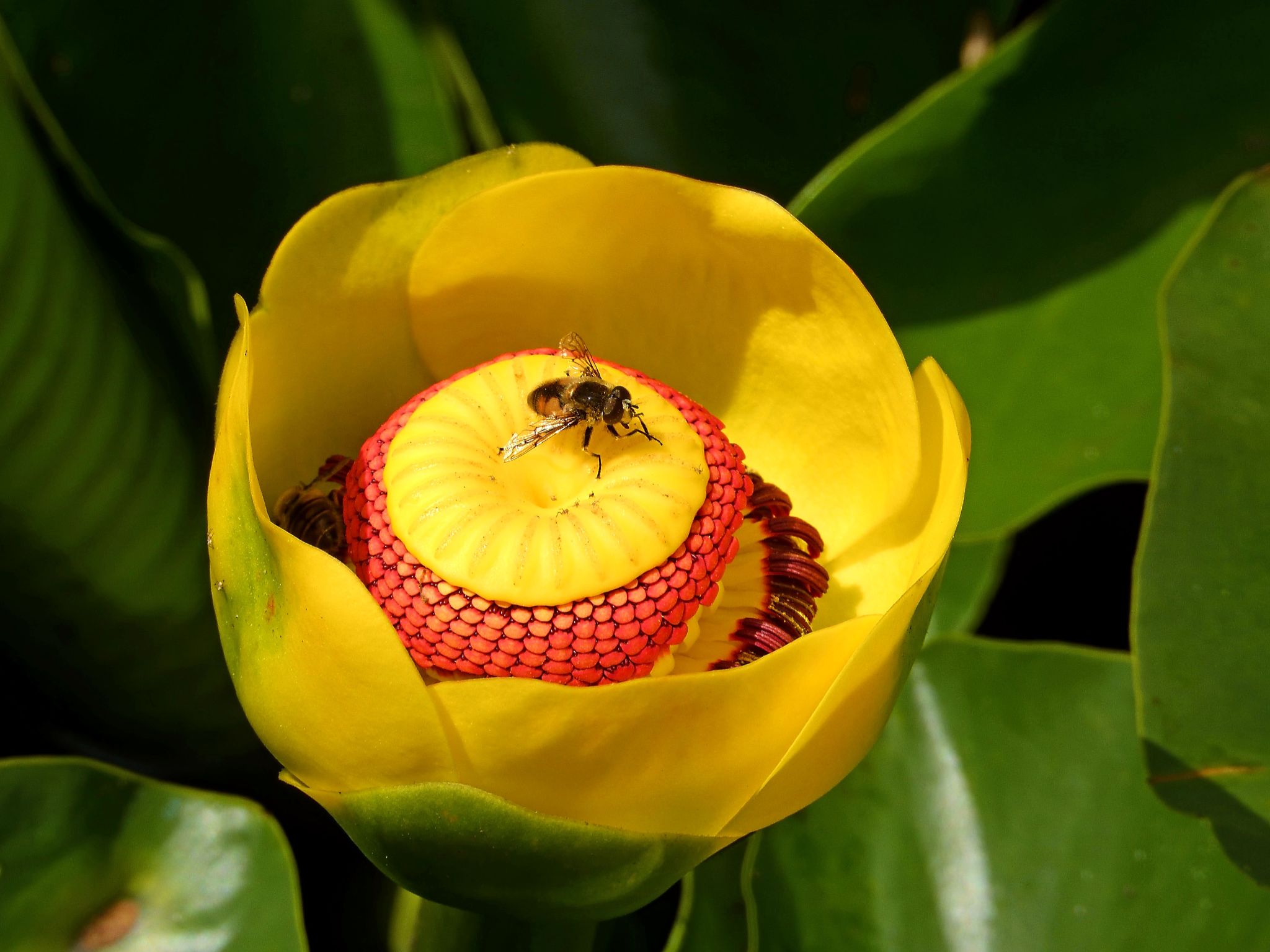 Community photo by Cecille Kennedy | Lincoln City, Oregon