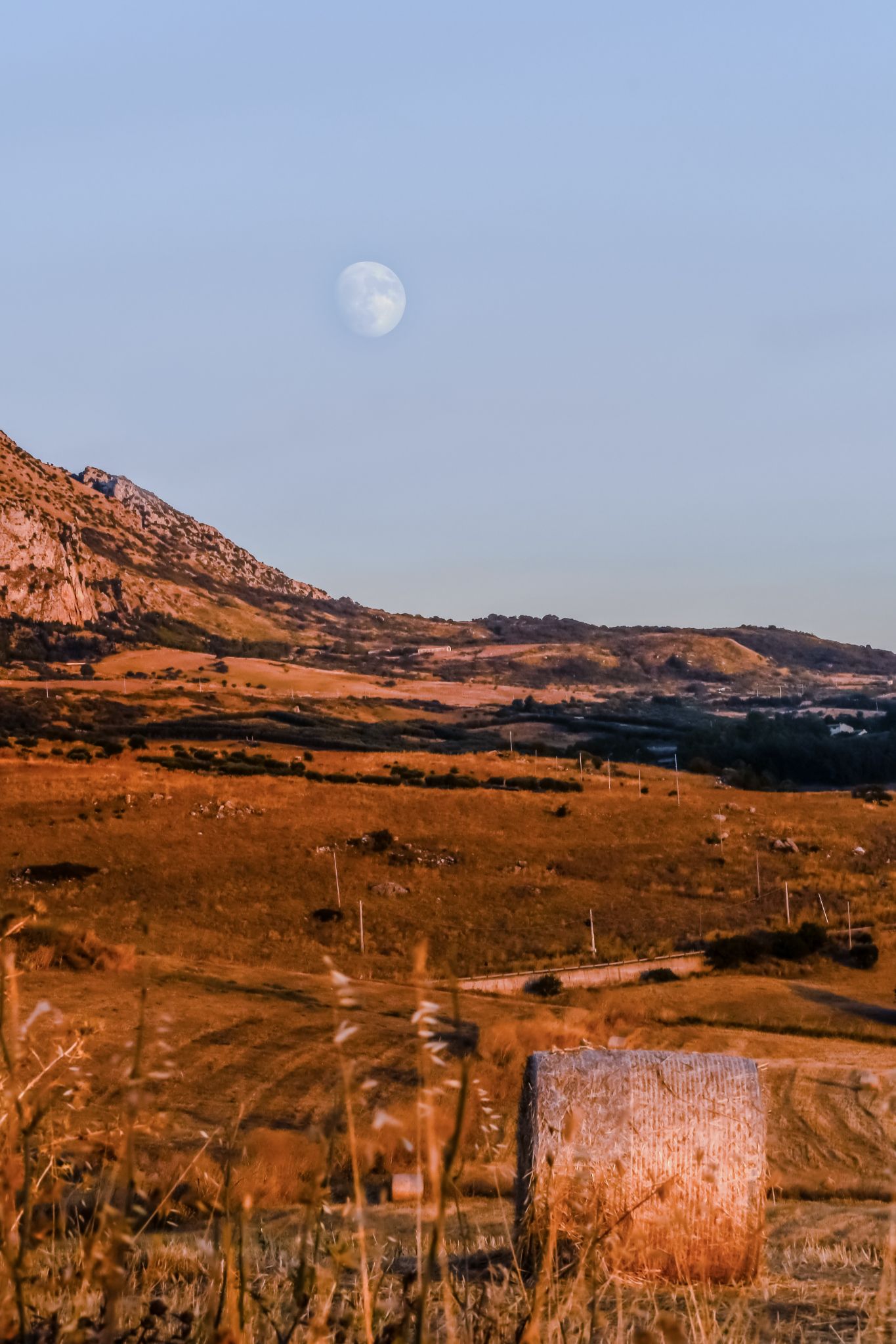 Community photo by Teresa Molinaro | Sicilian countryside, Palermo, South Italy