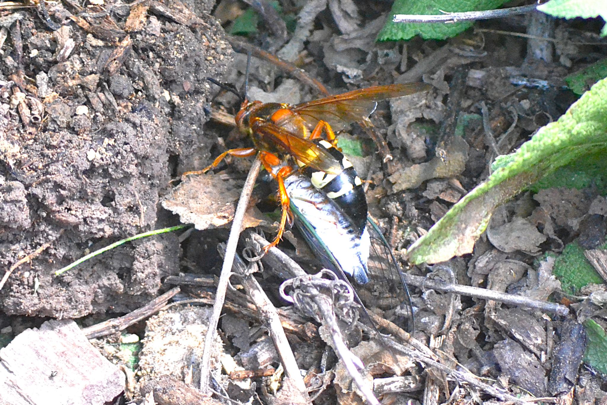 Community photo by Randy