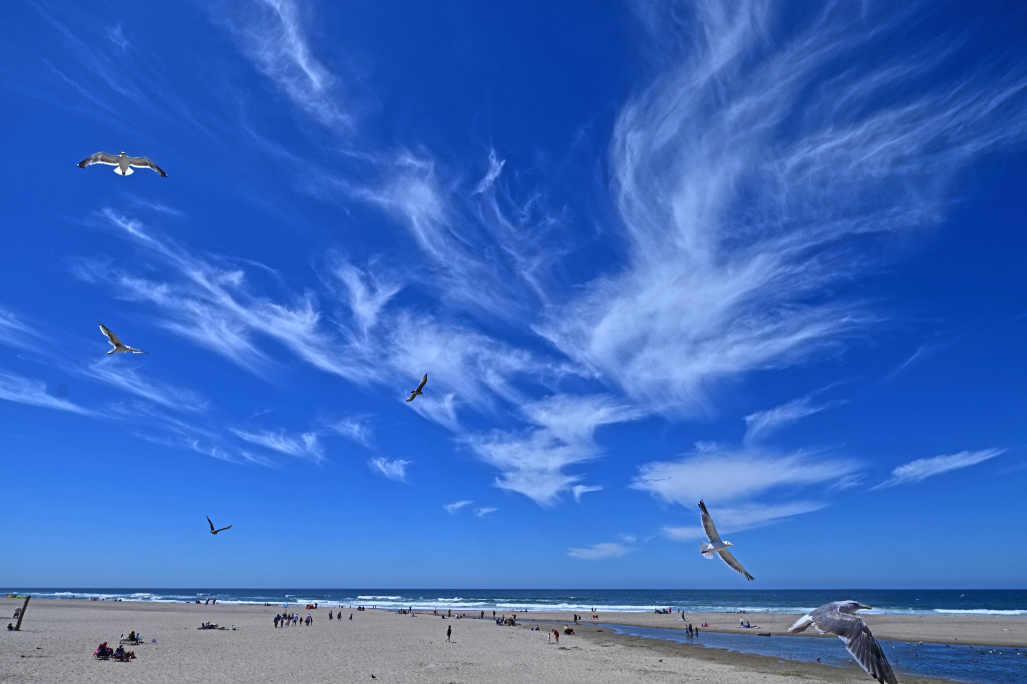Community photo by Cecille Kennedy | Lincoln City, Oregon