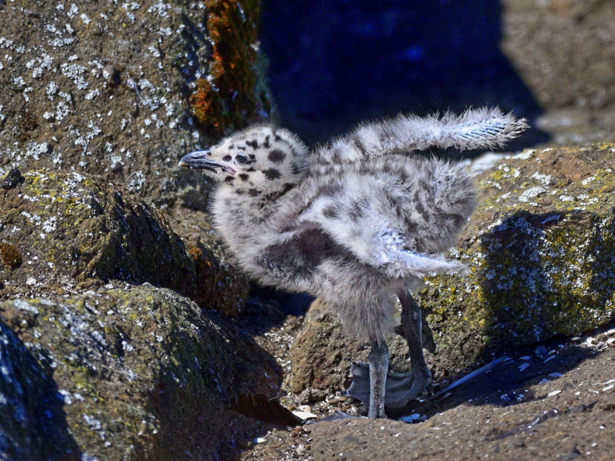 Community photo by Cecille