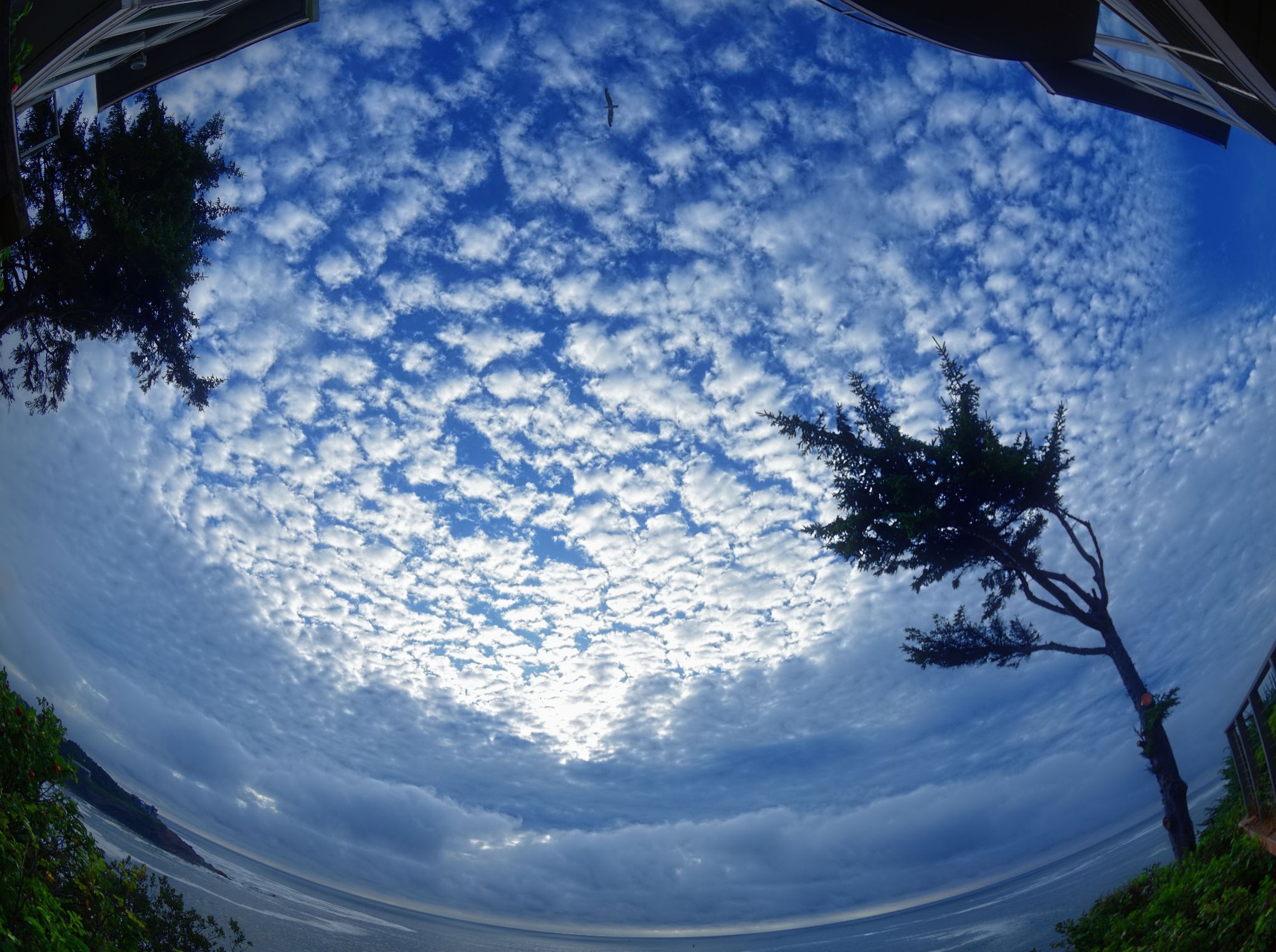 Community photo entitled Mackerel Clouds Maybe by Cecille Kennedy on 08/19/2025 at Depoe Bay, Oregon