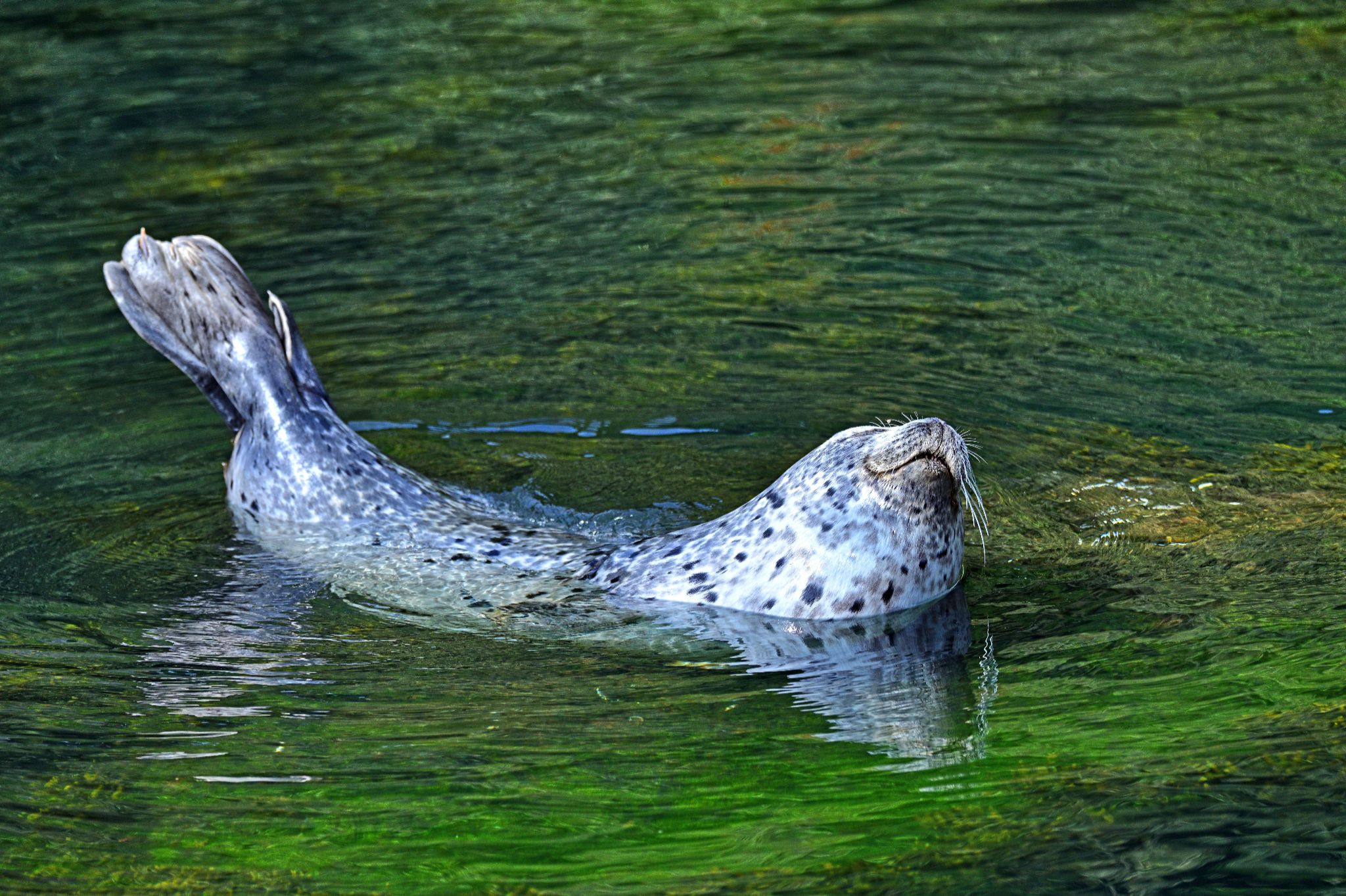 Community photo by Cecille