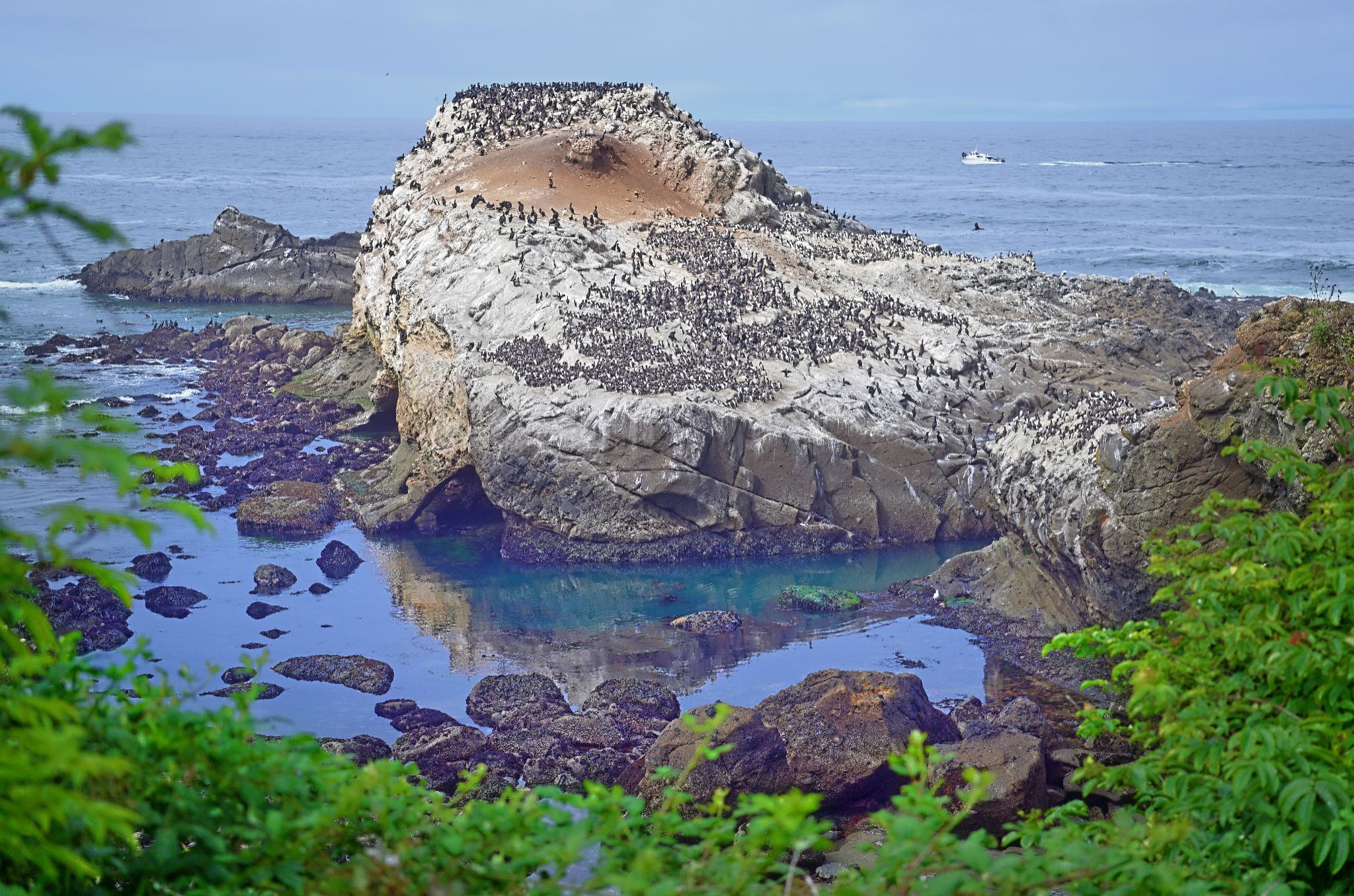 Community photo by Cecille