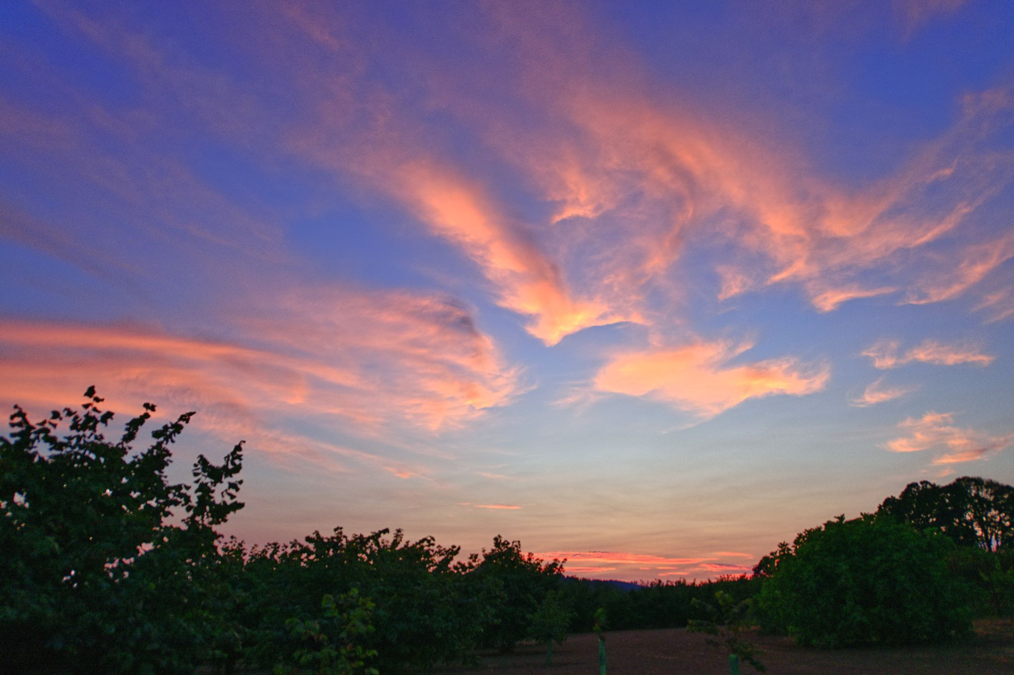 Community photo by Cecille