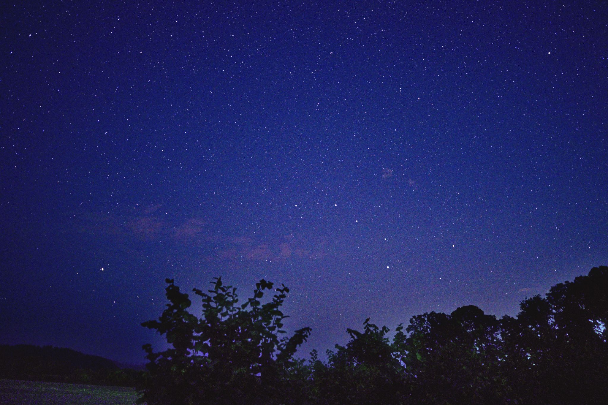 Community photo by Cecille