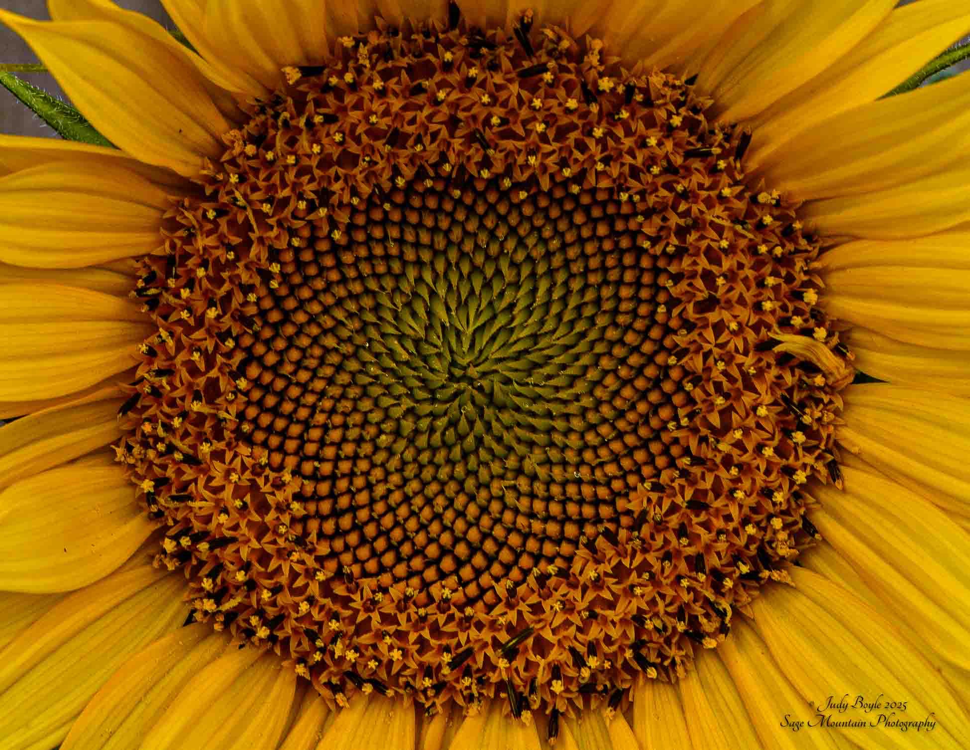 Community photo by Judy