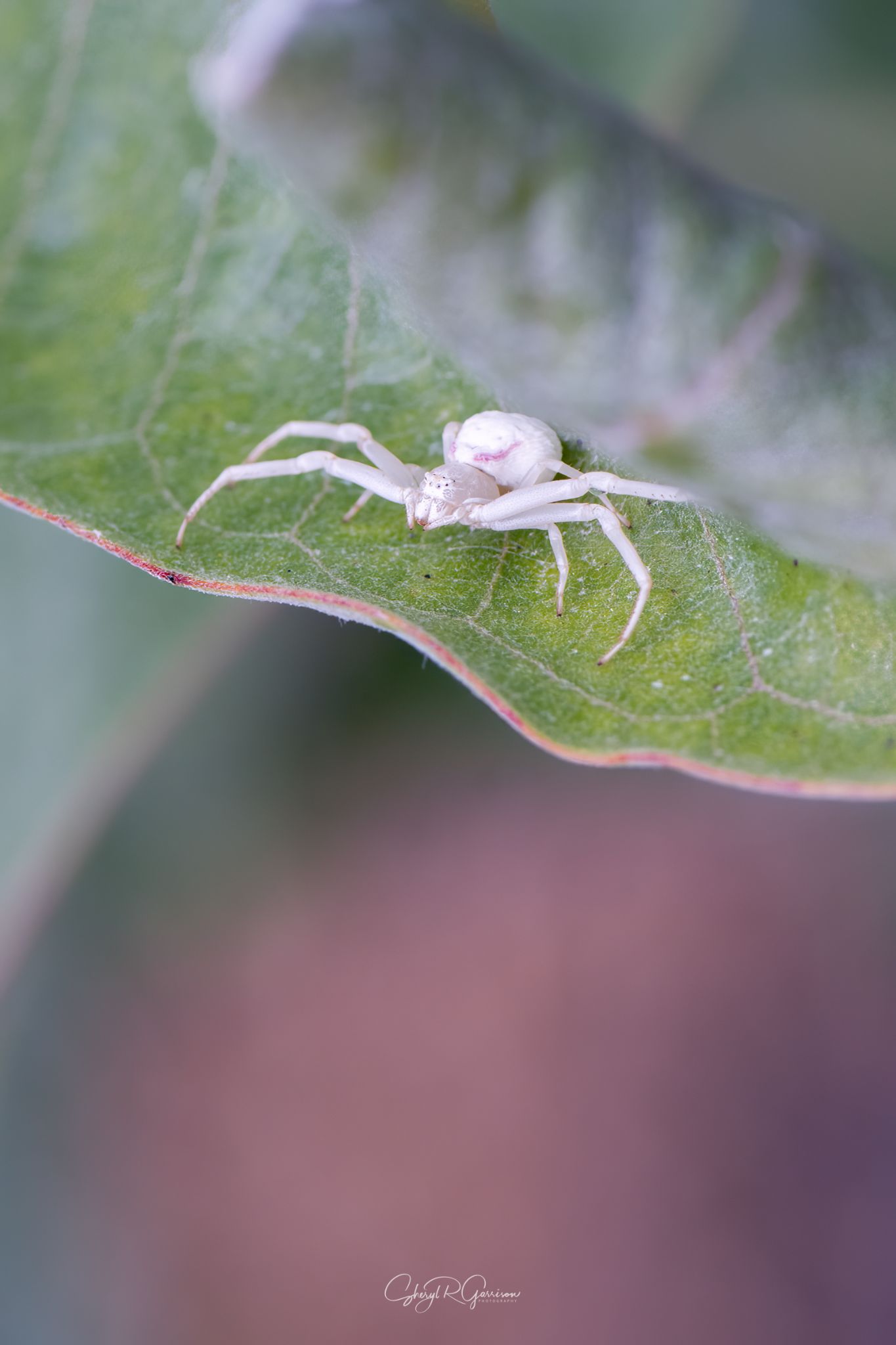 Community photo by Sheryl R