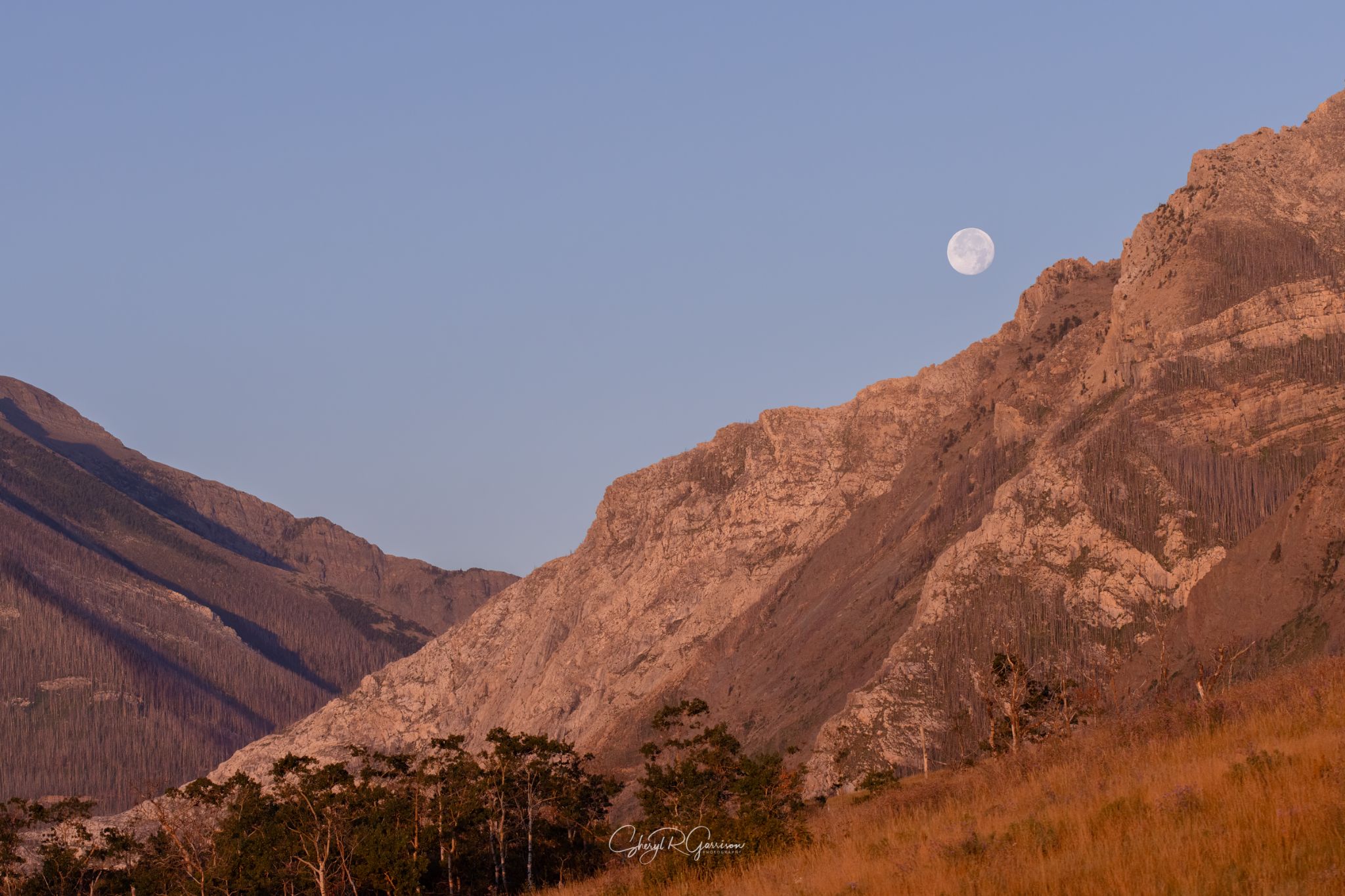 Community photo by Sheryl R