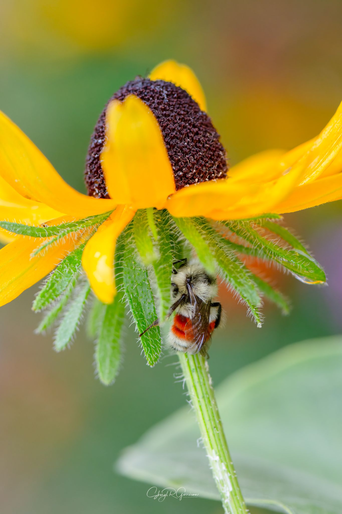 Community photo by Sheryl R