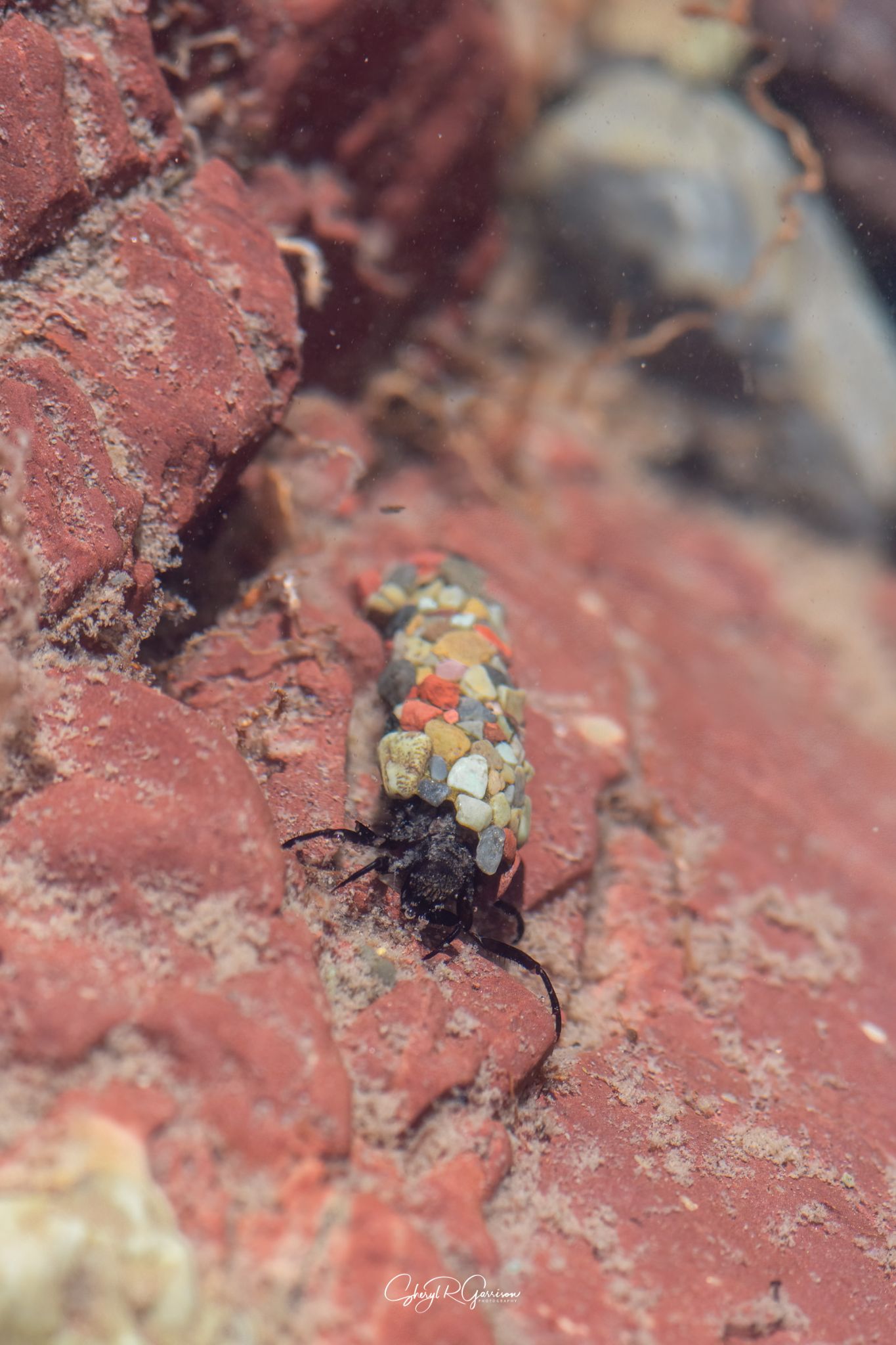 Community photo by Sheryl R