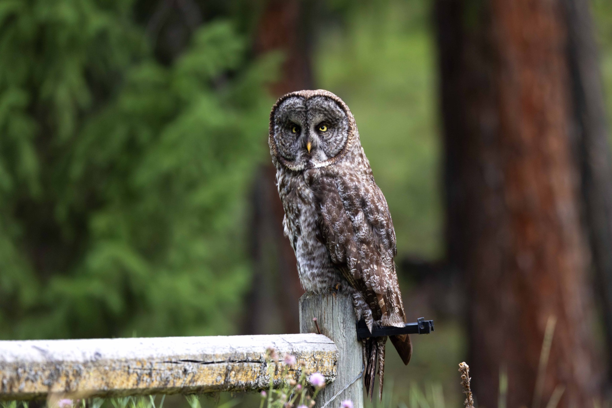 Community photo by Tim