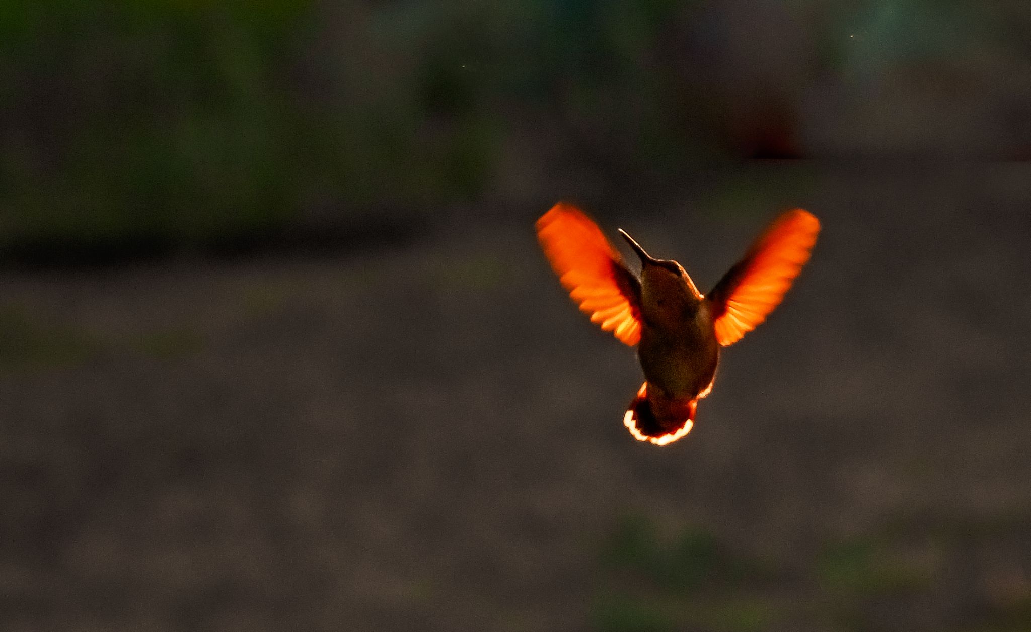 Community photo by Christoph