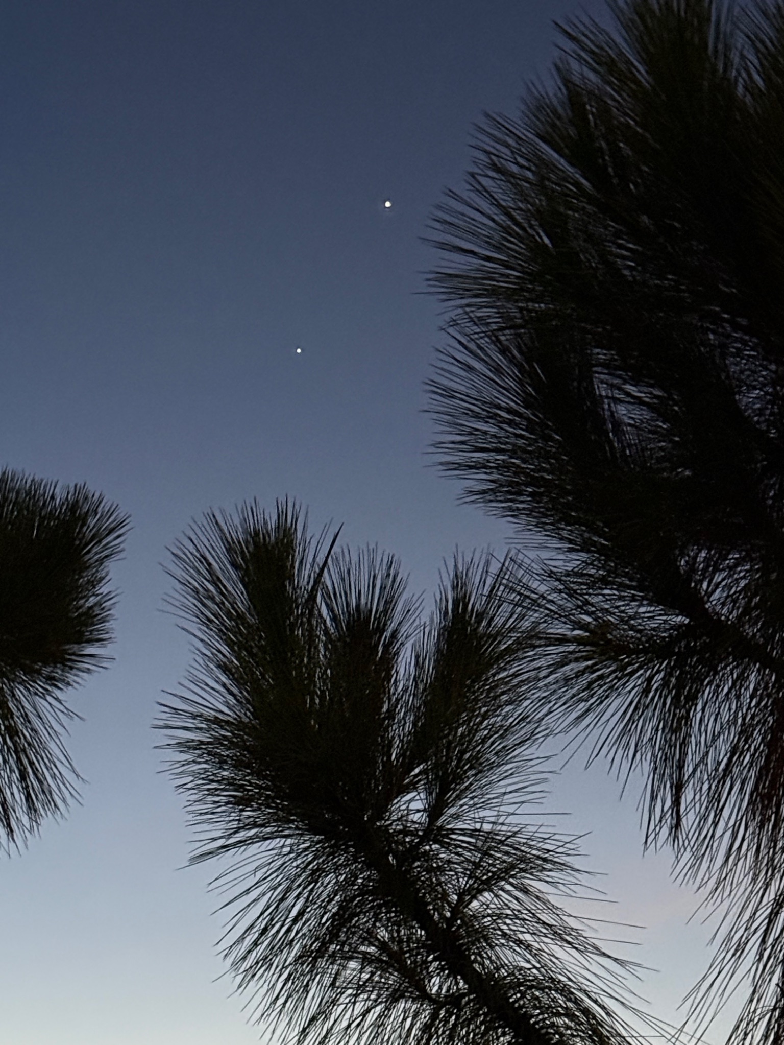 Community photo by James Figge | Punta Gorda, FL
