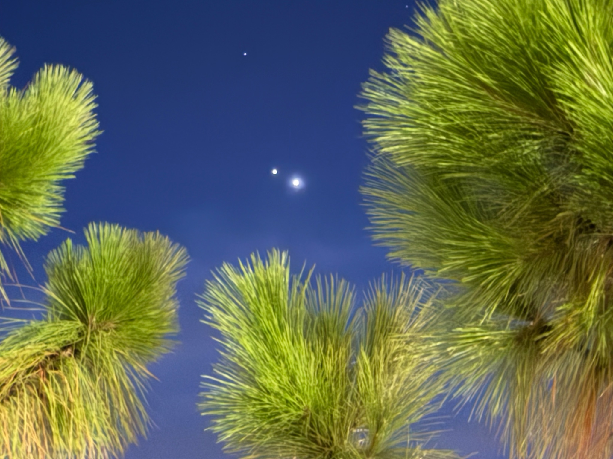 Community photo by James Figge | Punta Gorda, FL