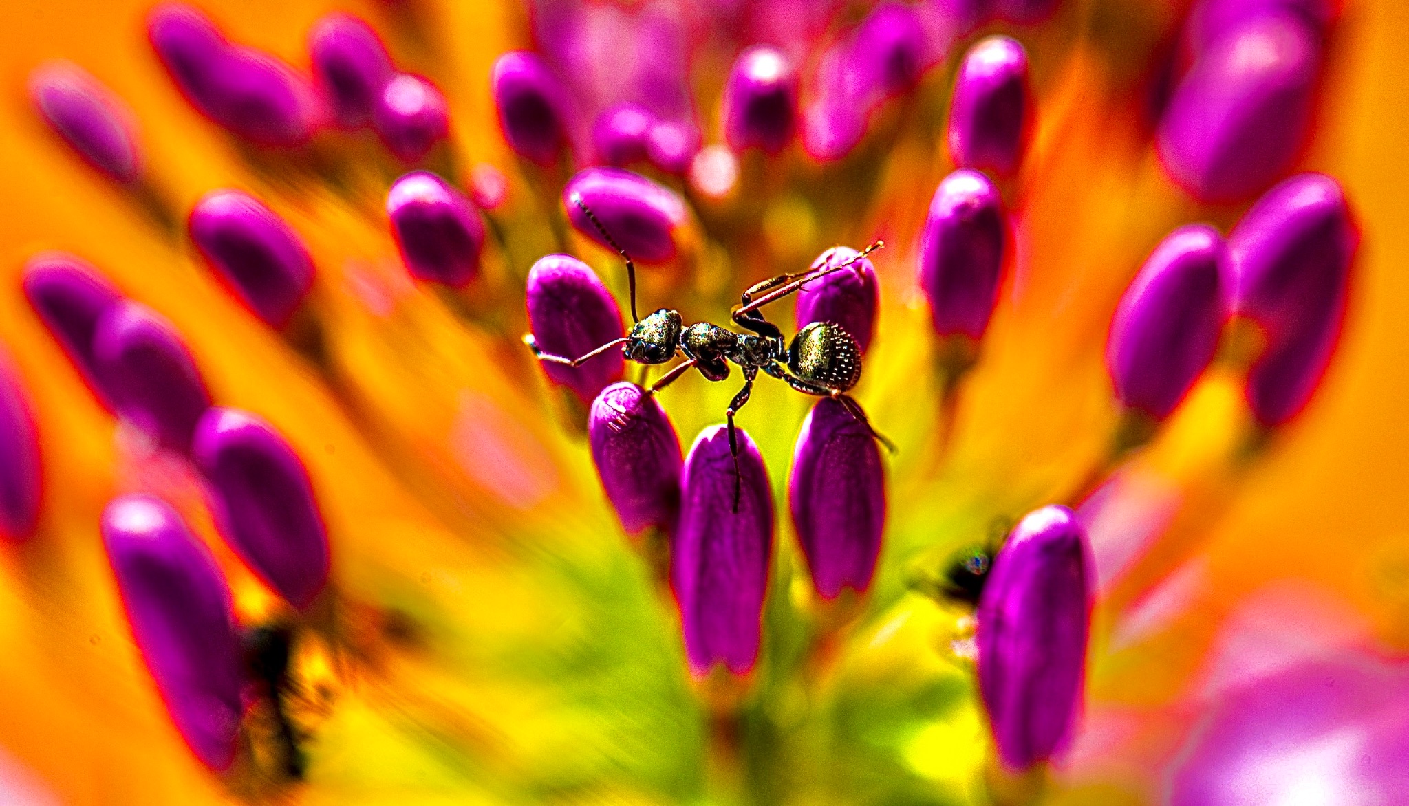 Community photo by Christoph