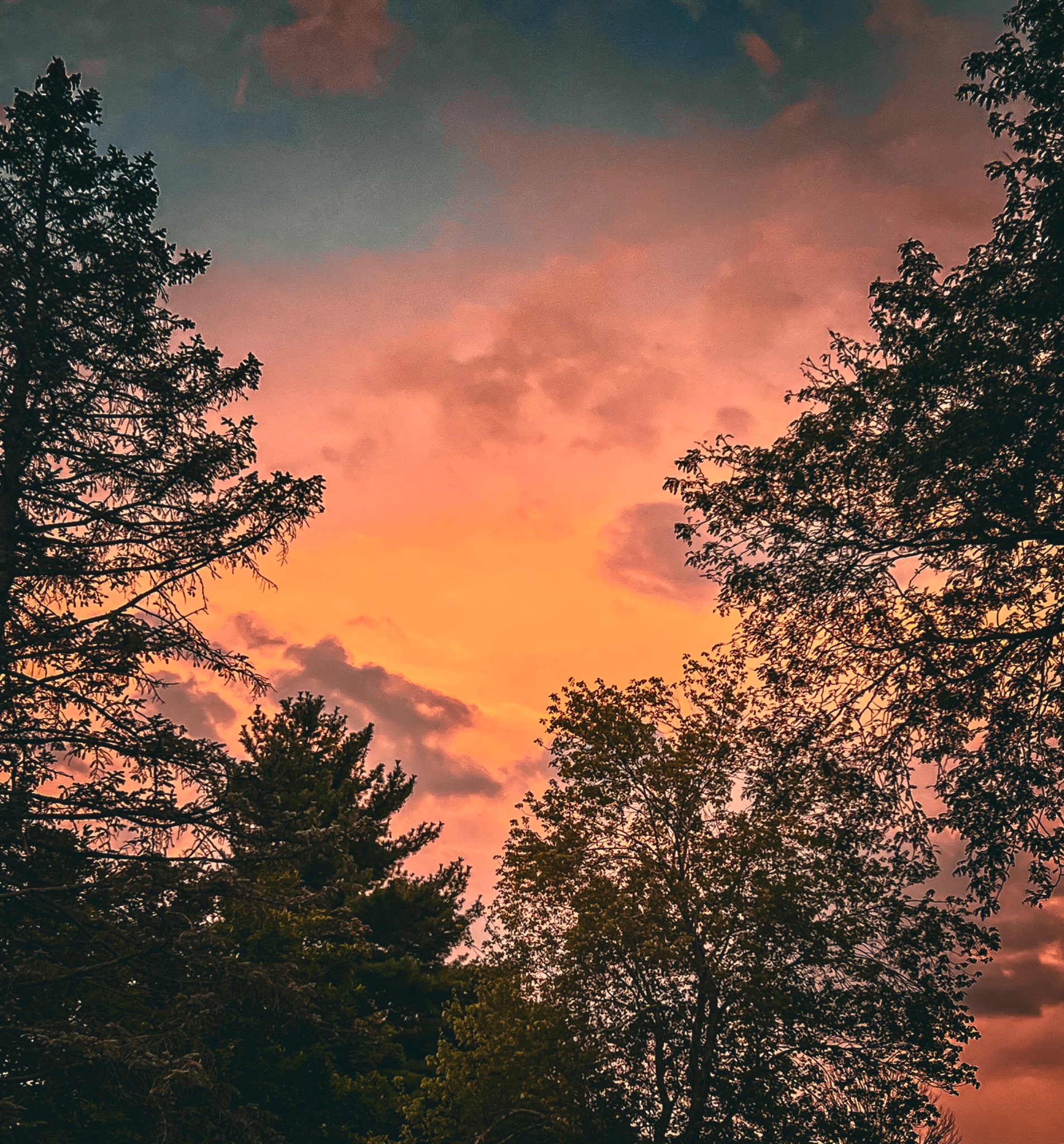 Community photo by Stephen