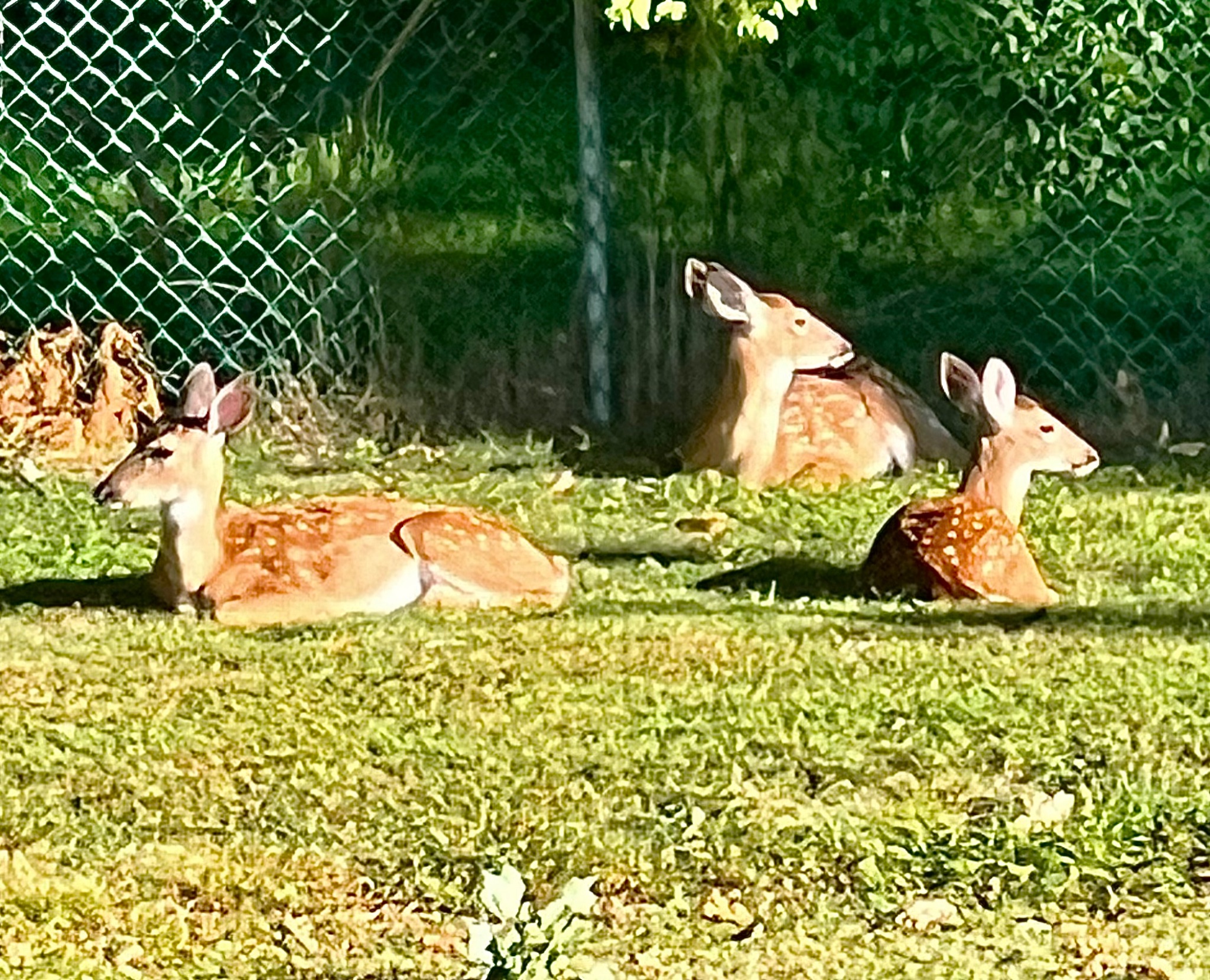 Community photo by Stephen