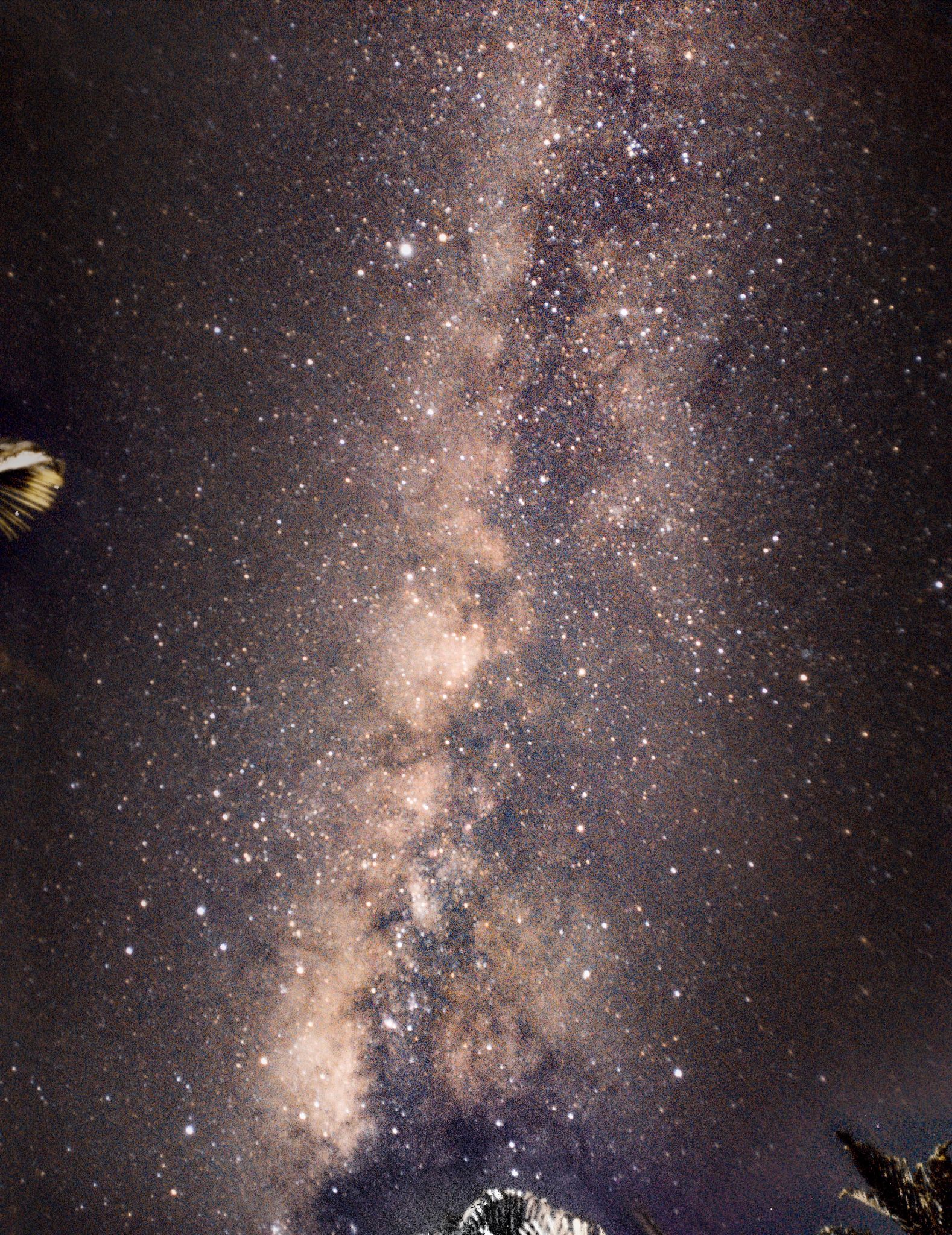 Community photo by Aayan