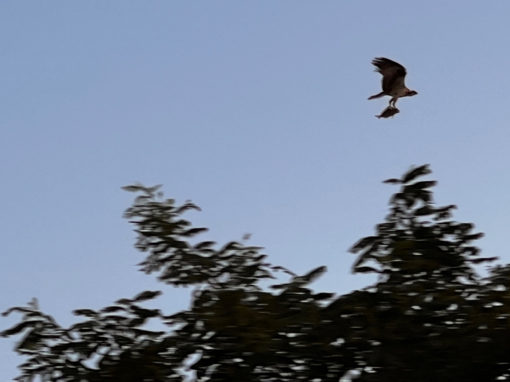 Community photo by Sudhir