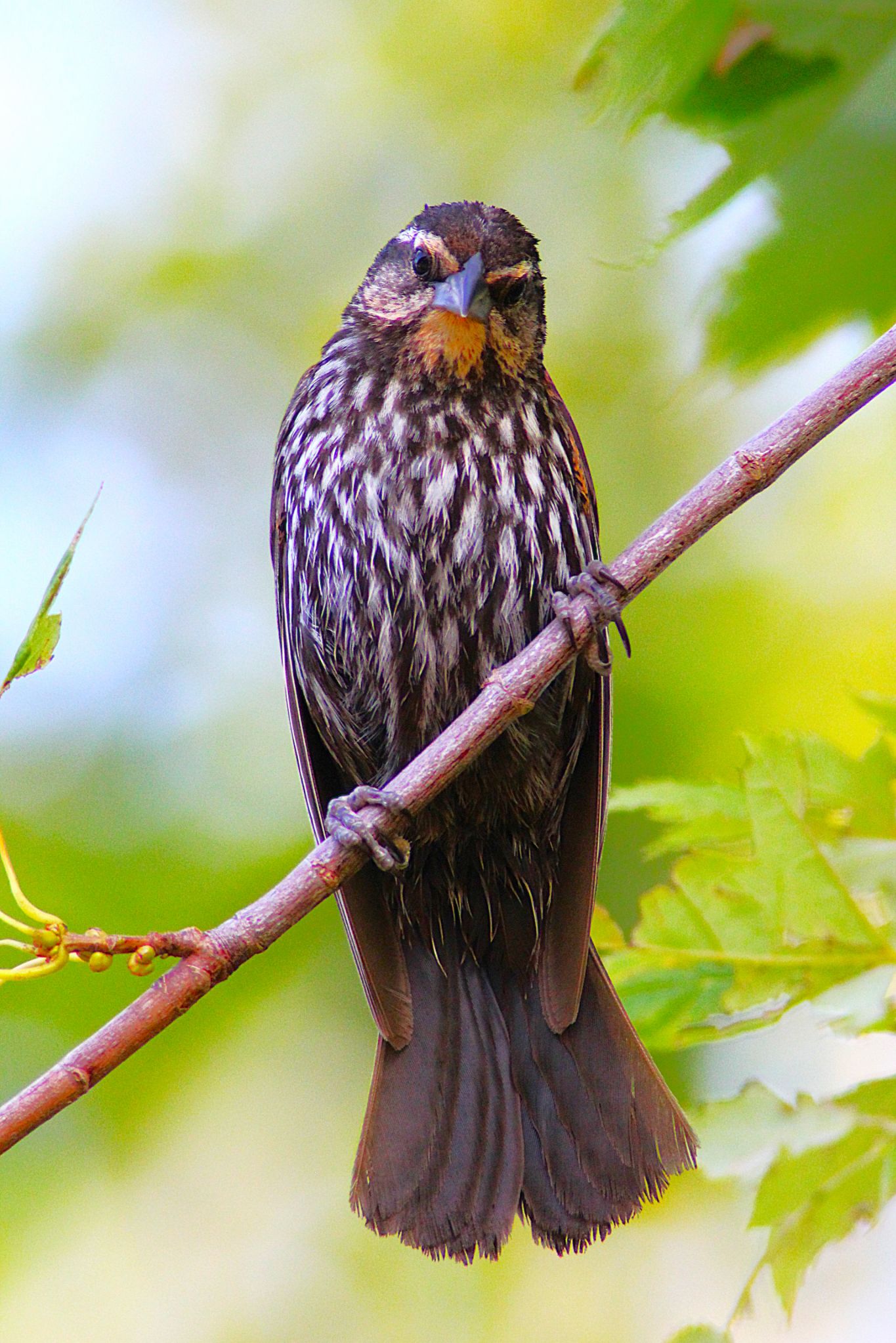 Community photo by Randy