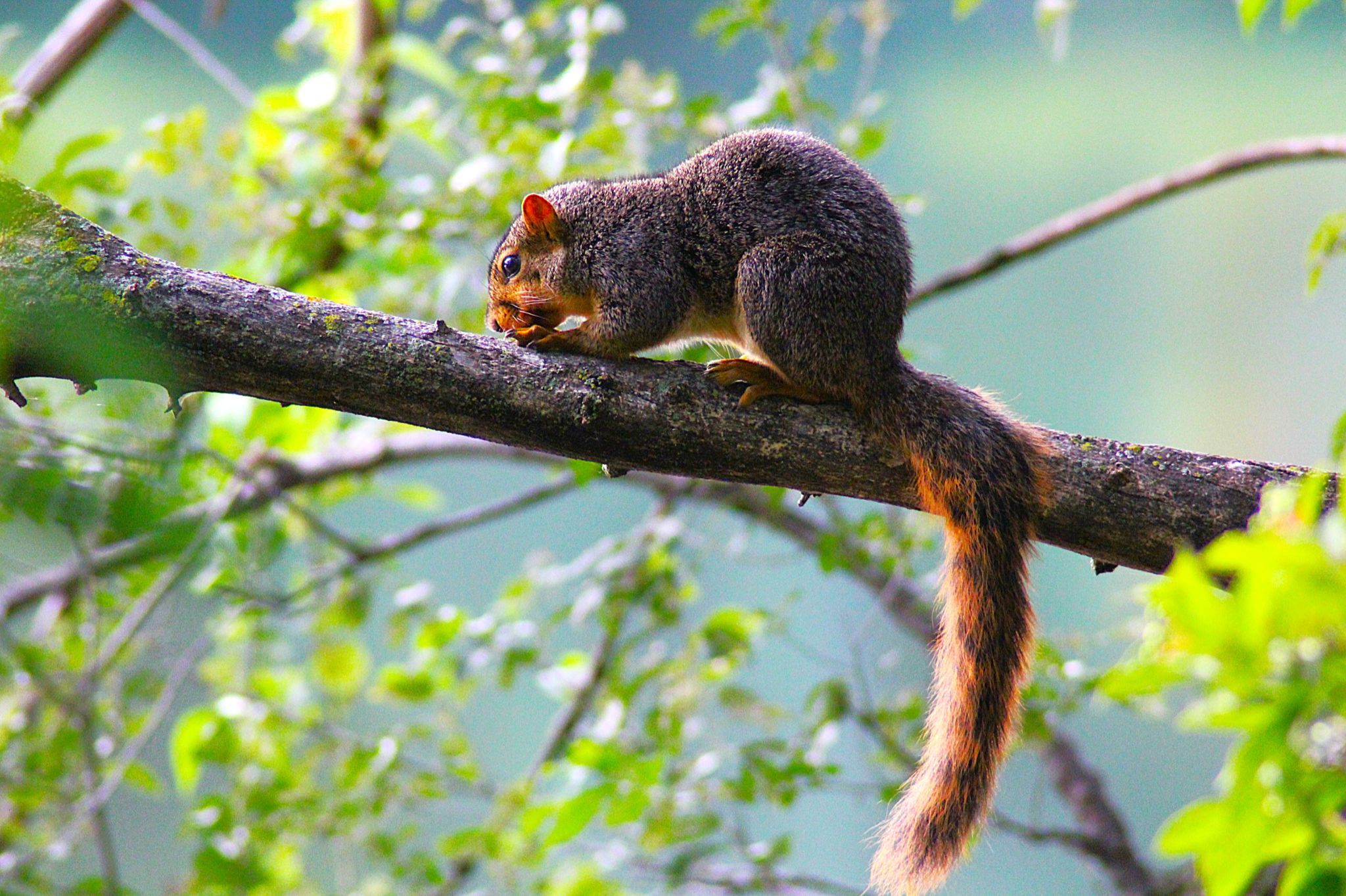 Community photo by Randy Strauss | Schwer pond, Nebraska