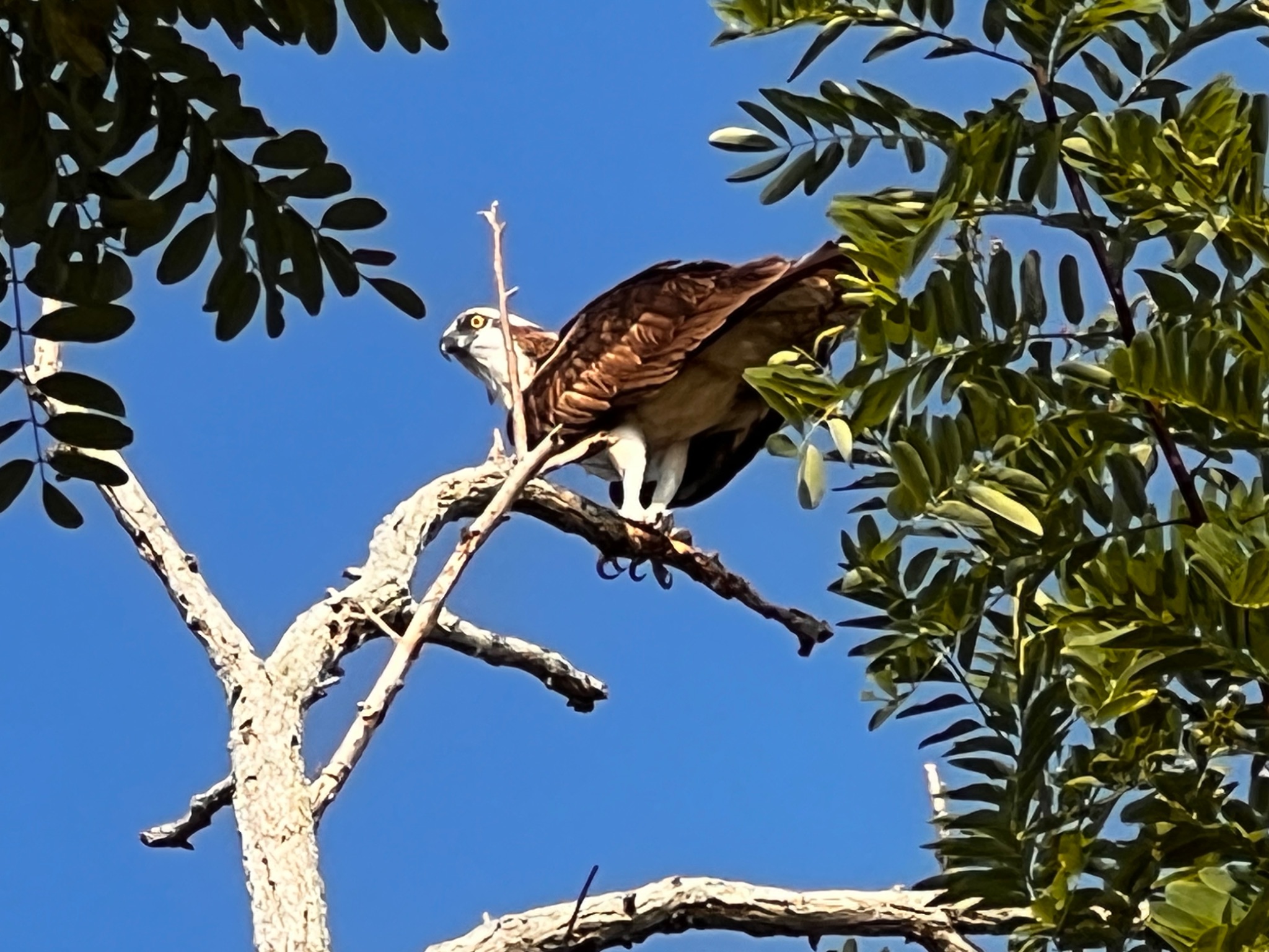 Community photo by Sudhir