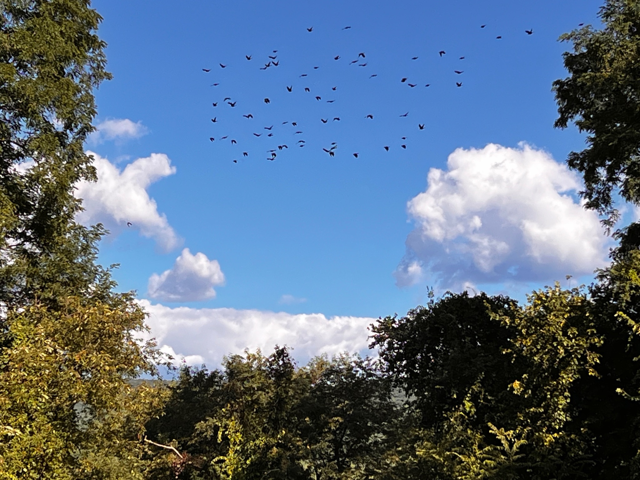 Community photo by Sudhir