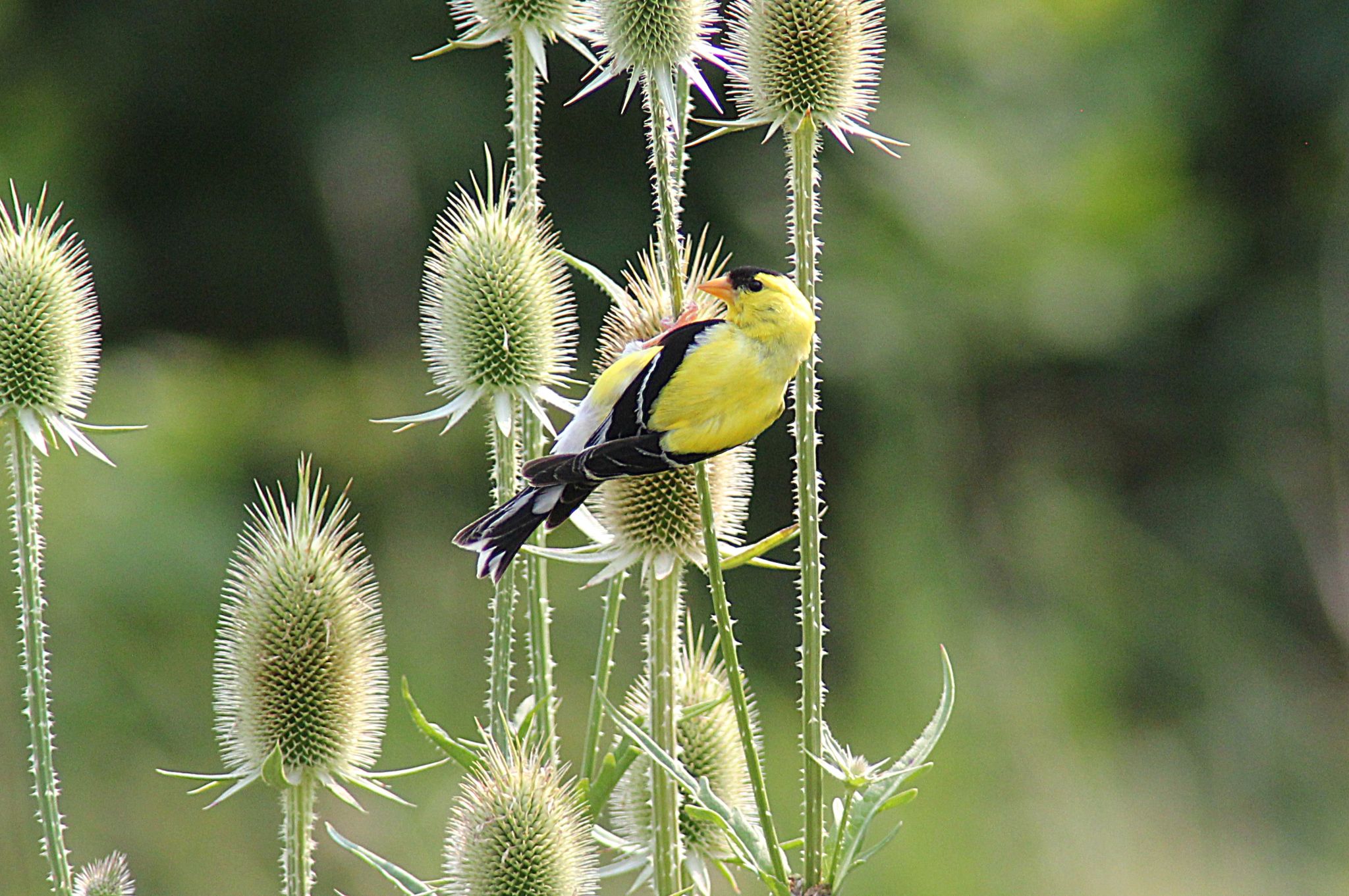 Community photo by Randy