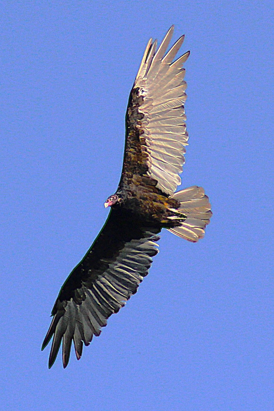 Community photo by Randy