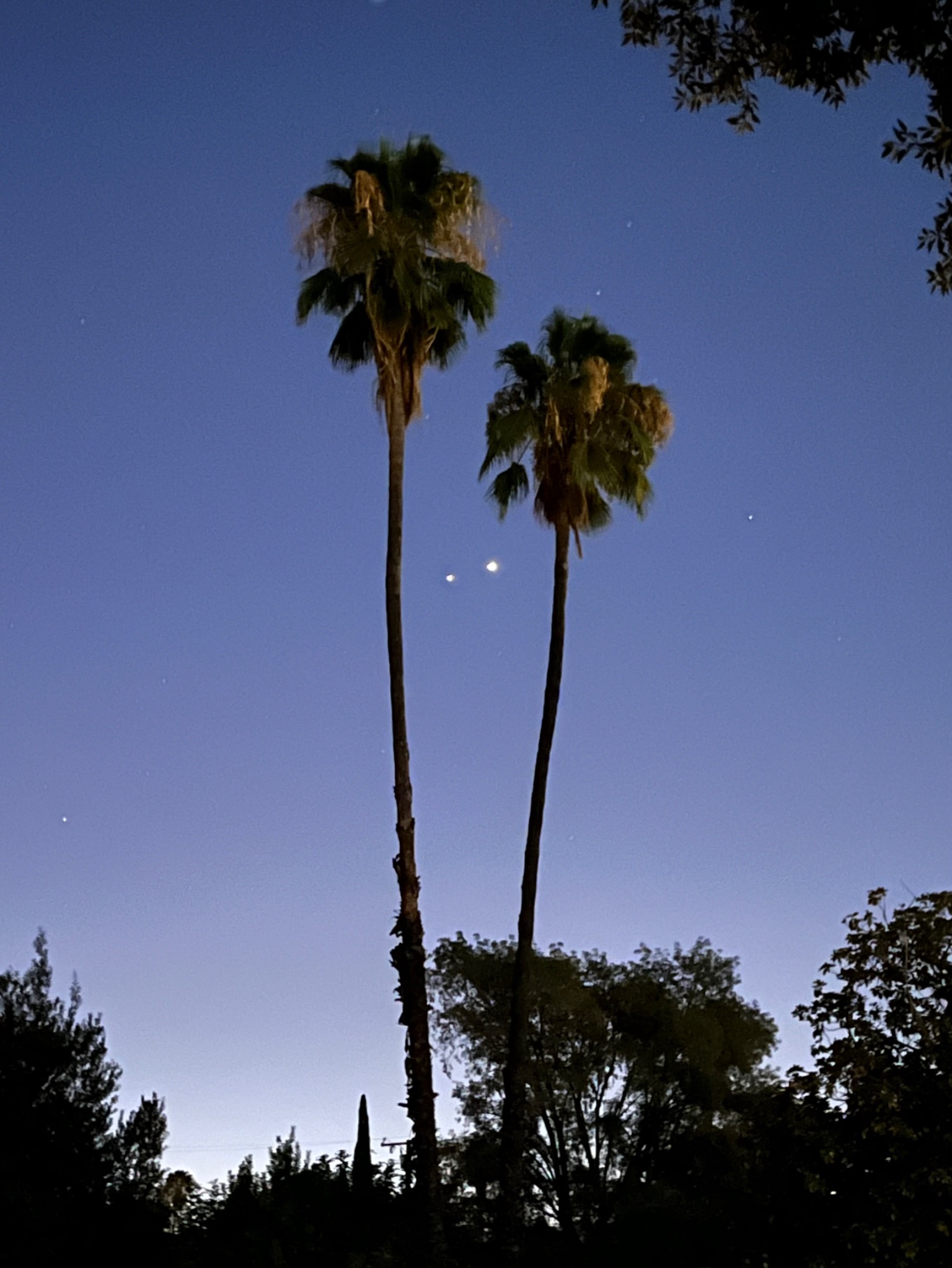 Community photo by Bo