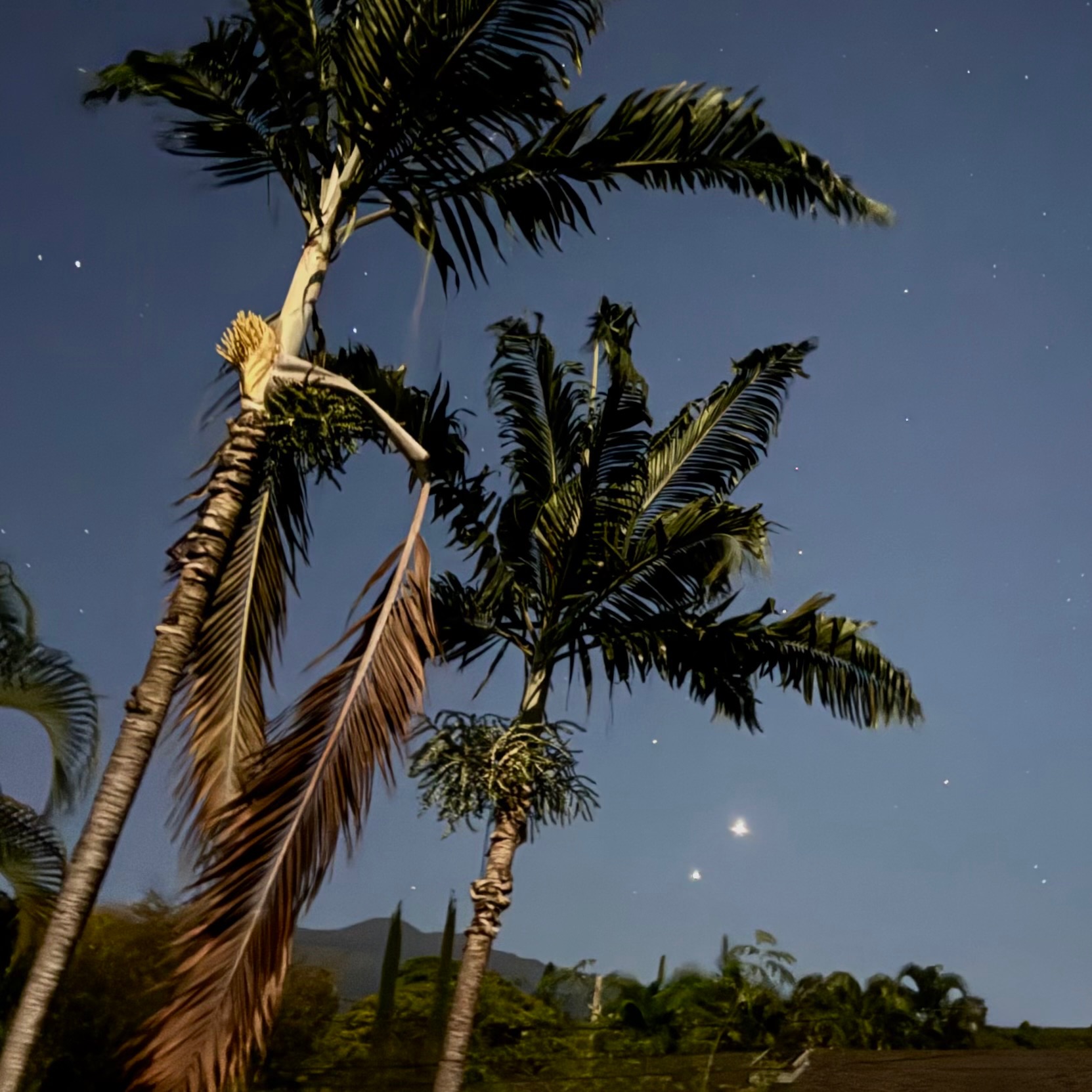 Community photo by Tina Clothier | Kailua-Kona, Hawaii