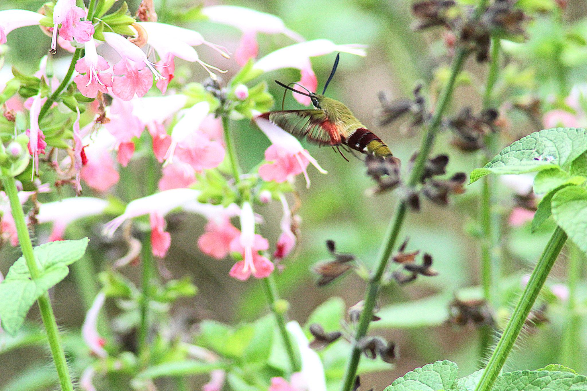 Community photo by Randy