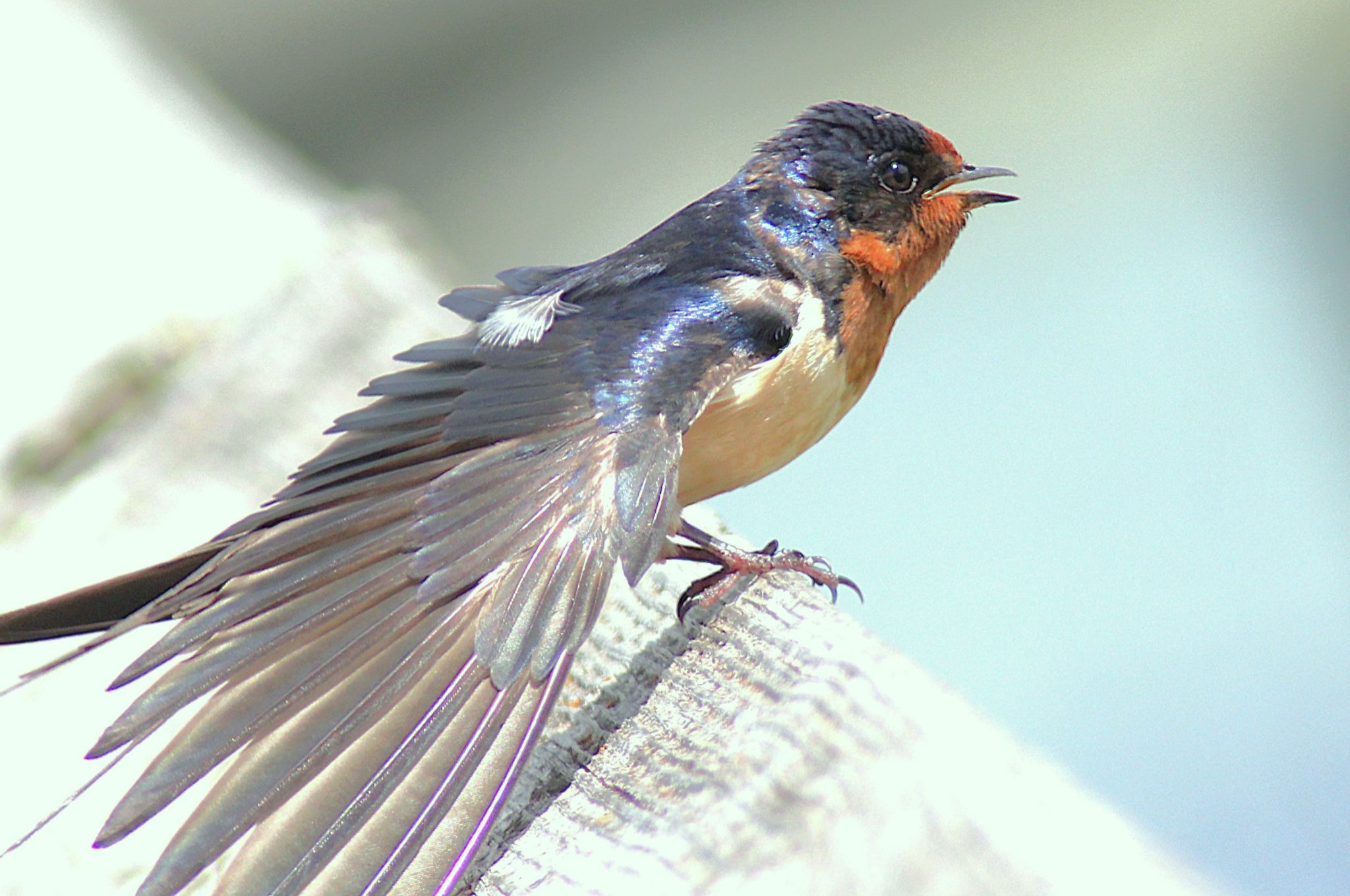 Community photo by Randy