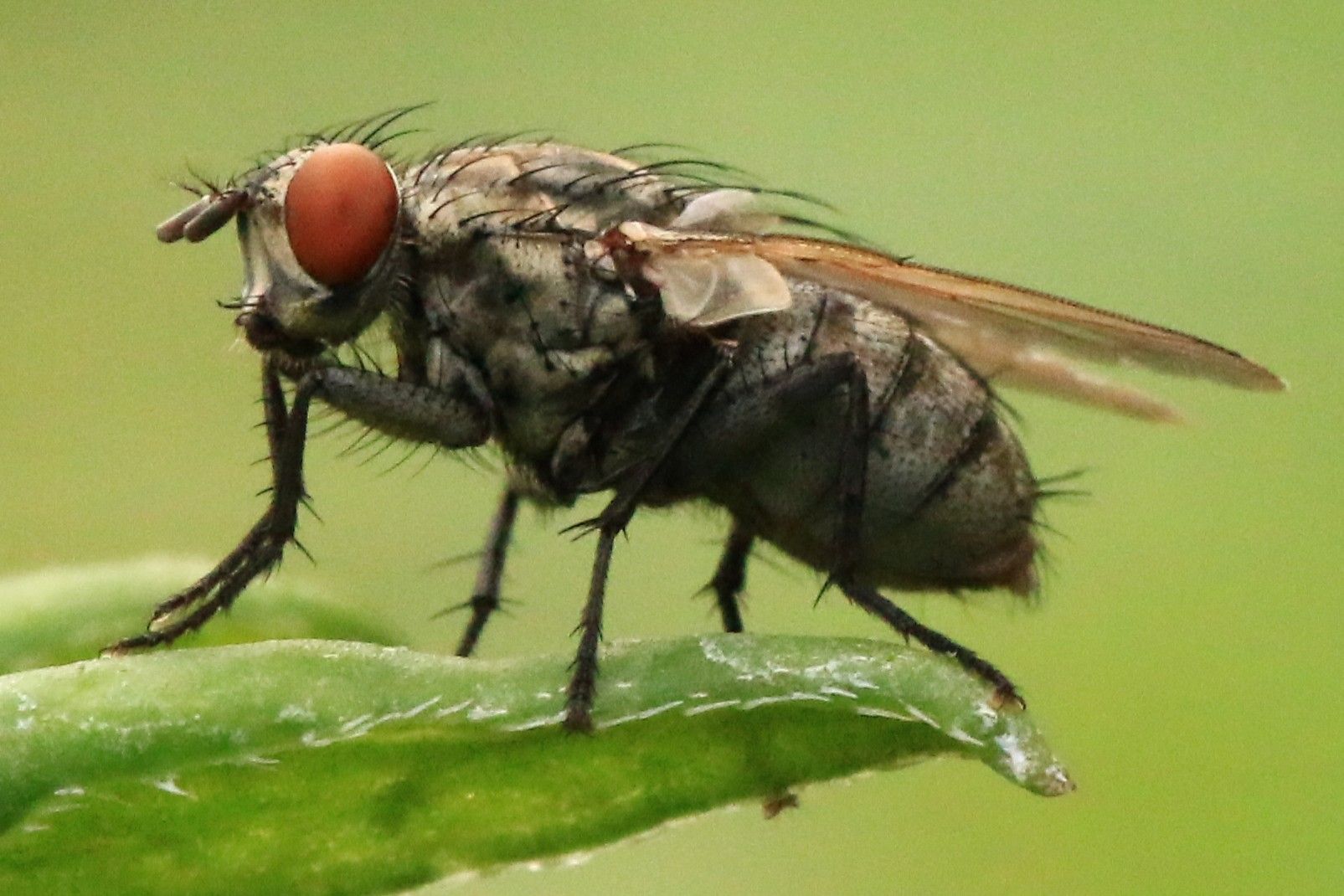 Community photo by Bill Kozar | Taylorsville, Indiana. USA